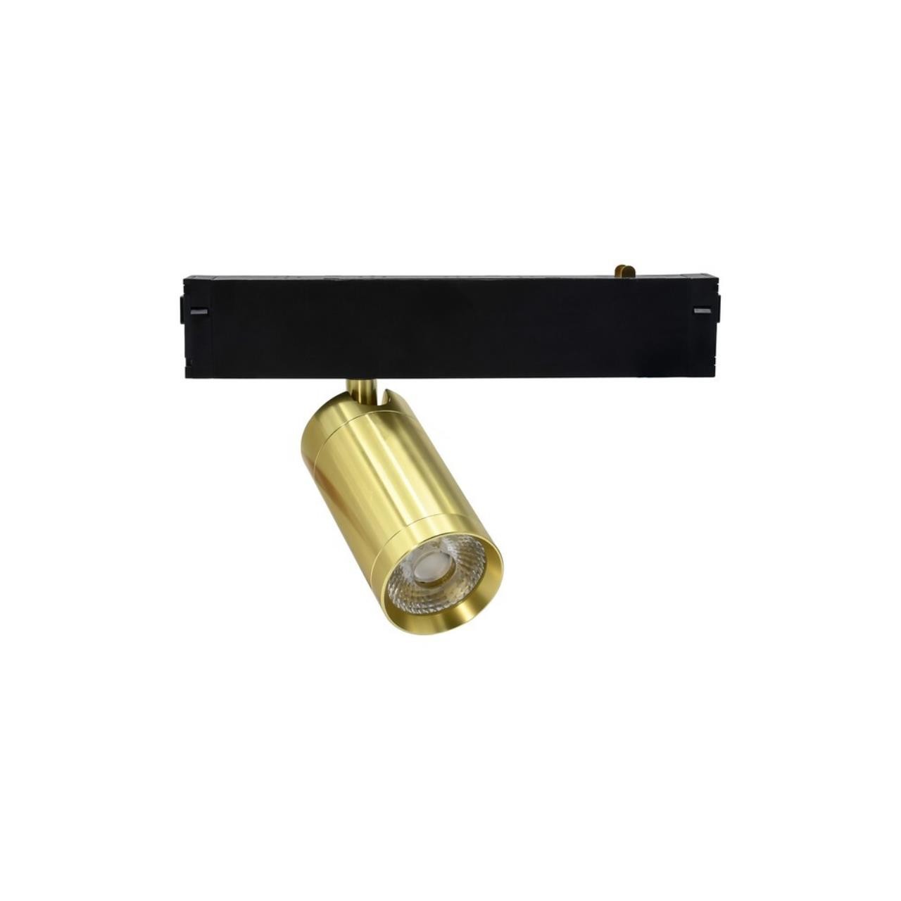 Трековый светильник Aployt Magnetic track 220 APL.0205.10.09