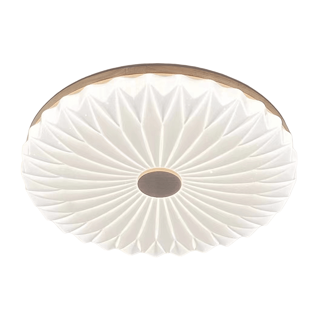 Светильник потолочный ЭкономСвет 88020 88020/65