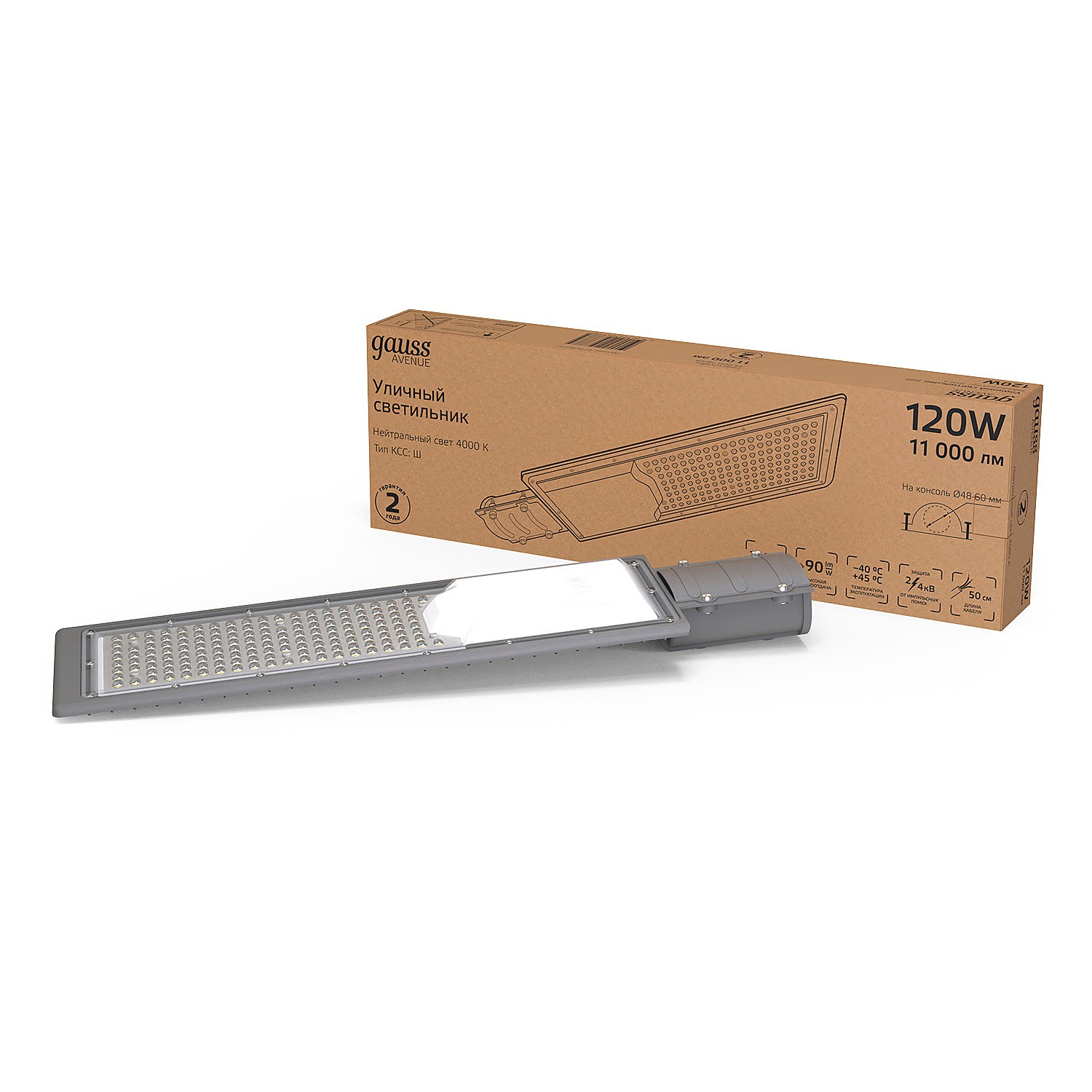 Консольный уличный светильник Gauss 629534220