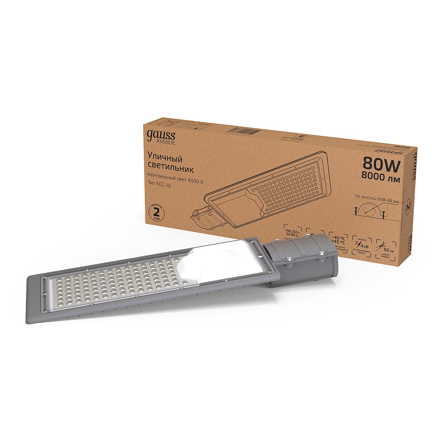 Консольный уличный светильник Gauss 629534280