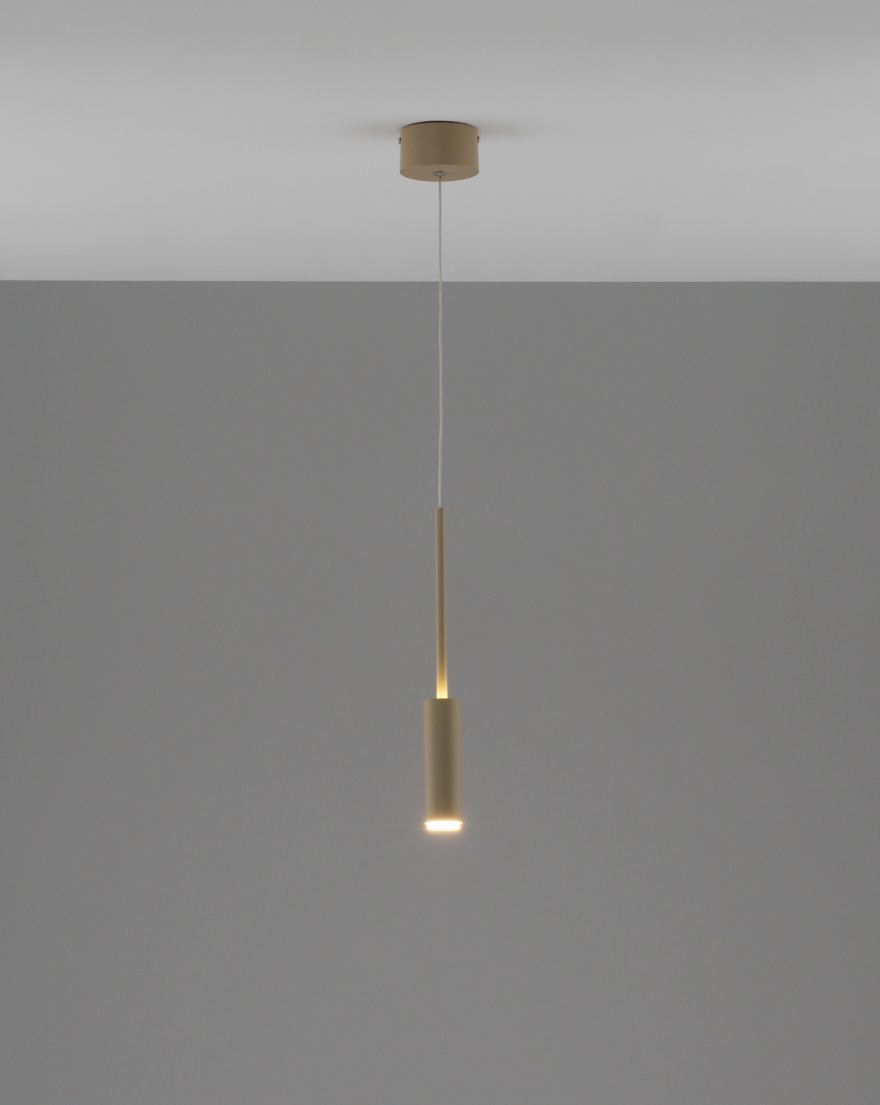 Светильник подвесной Moderli Rin V11396-PL