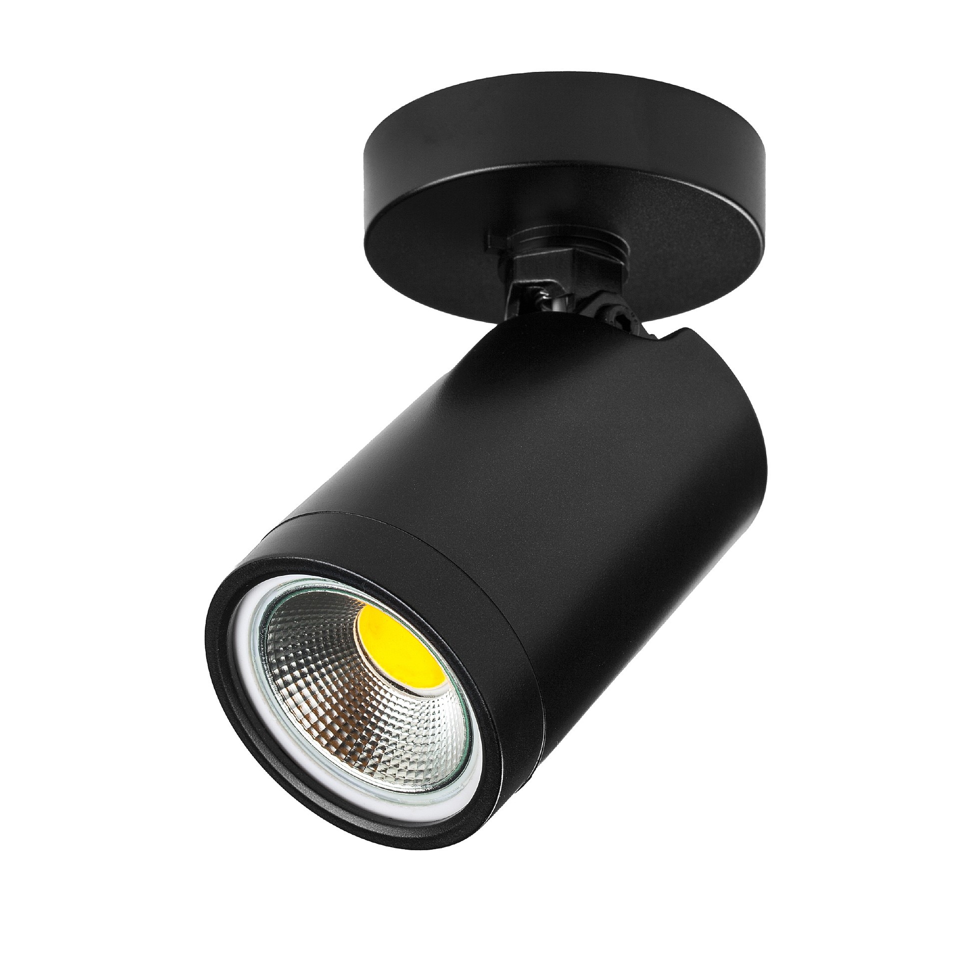 Светильник спот Lightstar Rullo 213407