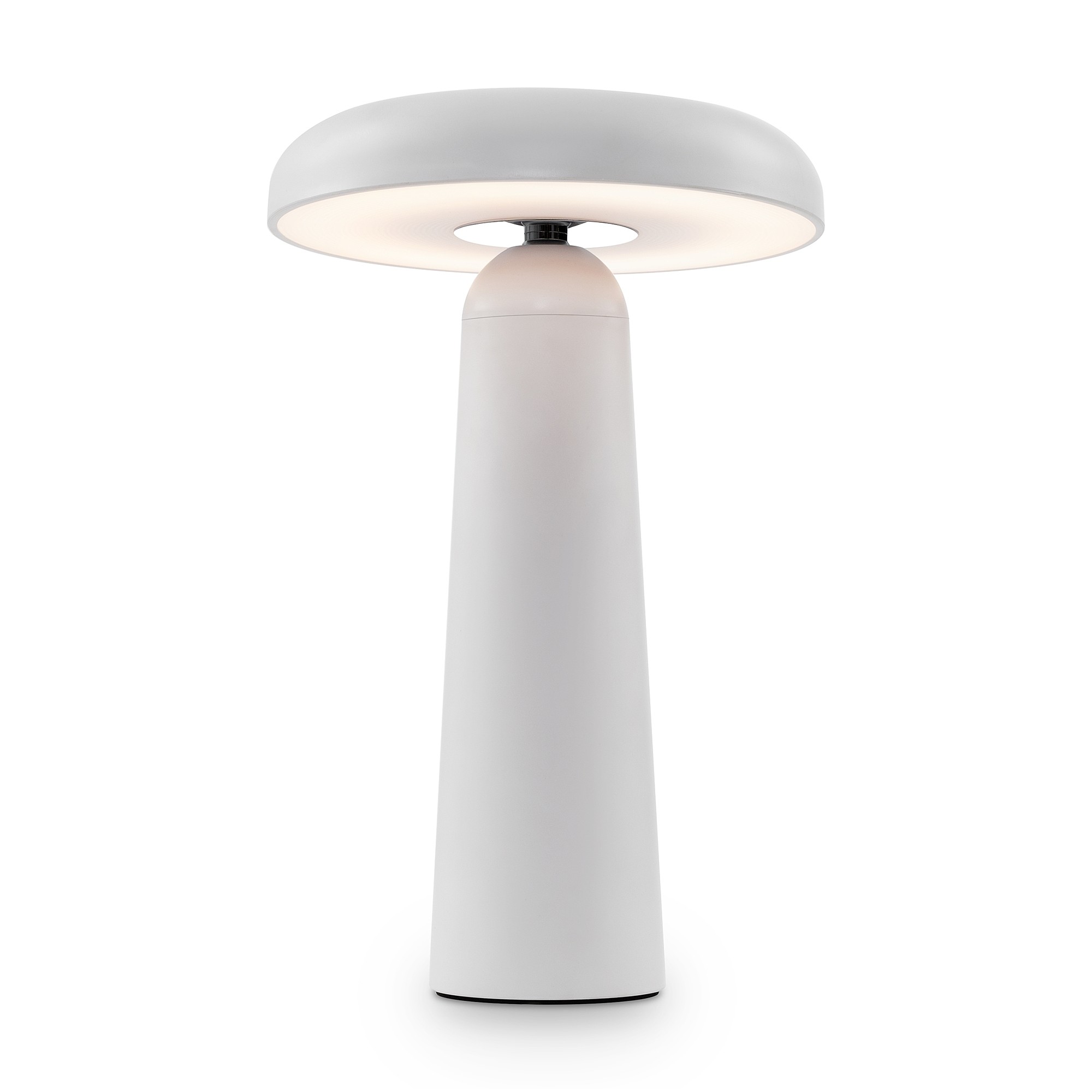 Настольная лампа Freya Mushroom FR6109TL-L4W