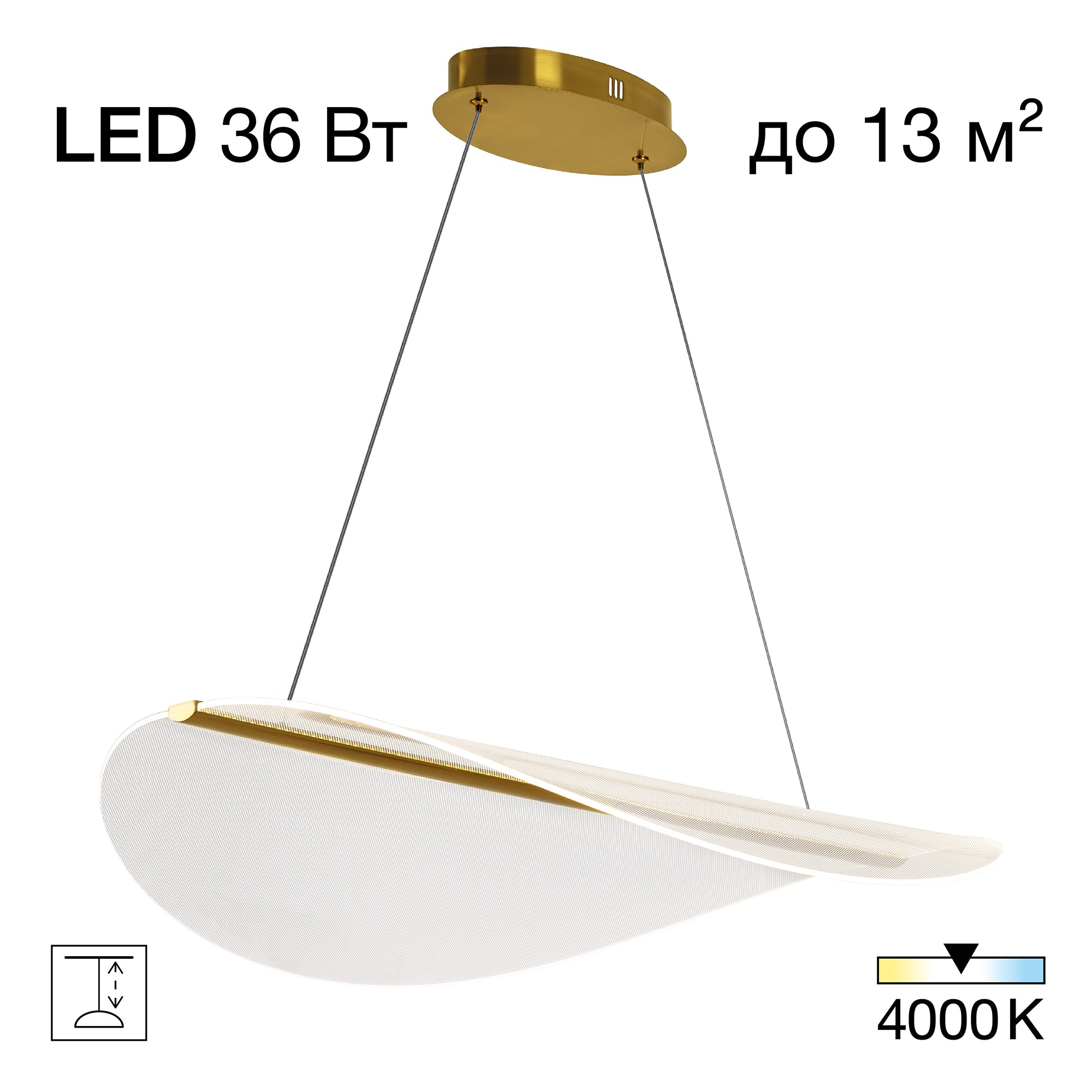 Светильник подвесной Citilux Skatt CL213132