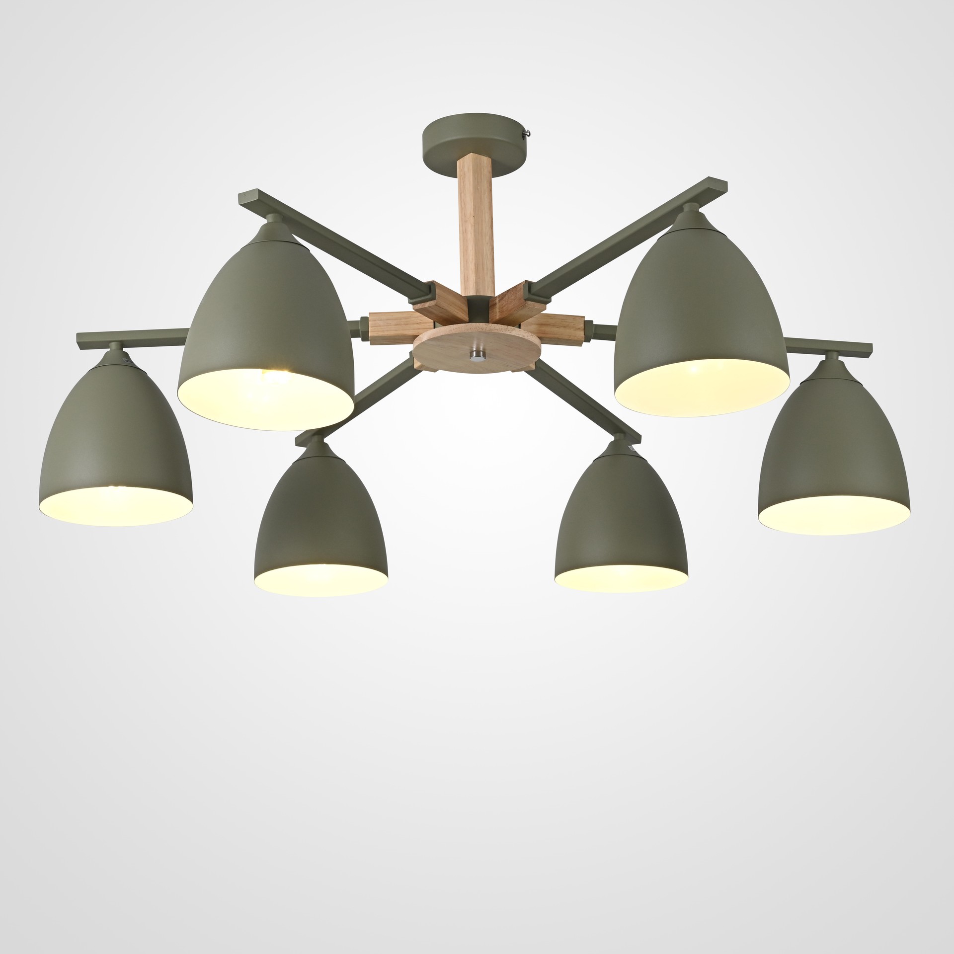 Потолочная люстра ImperiumLoft Noa01 183463-26