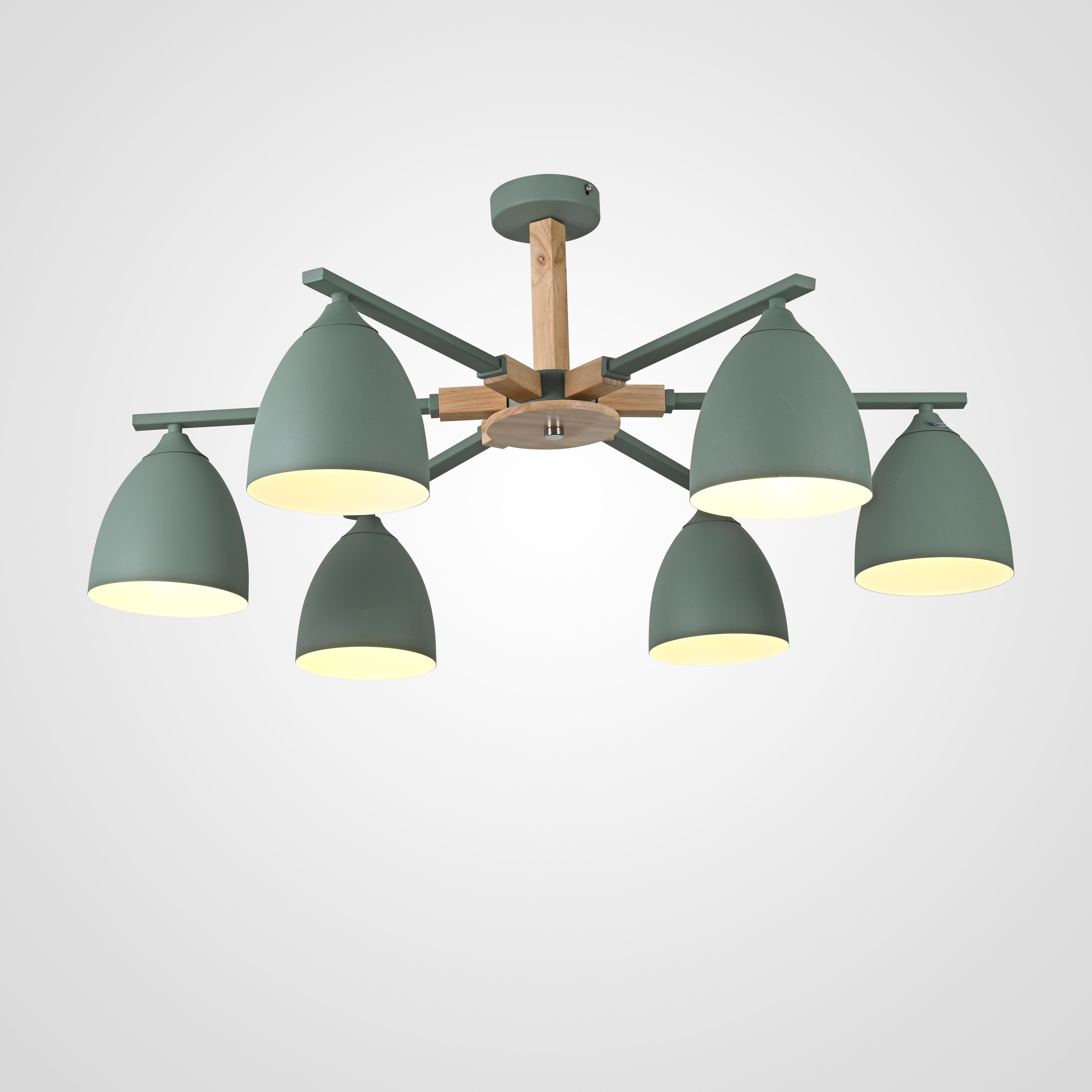 Потолочная люстра ImperiumLoft Noa01 183467-26