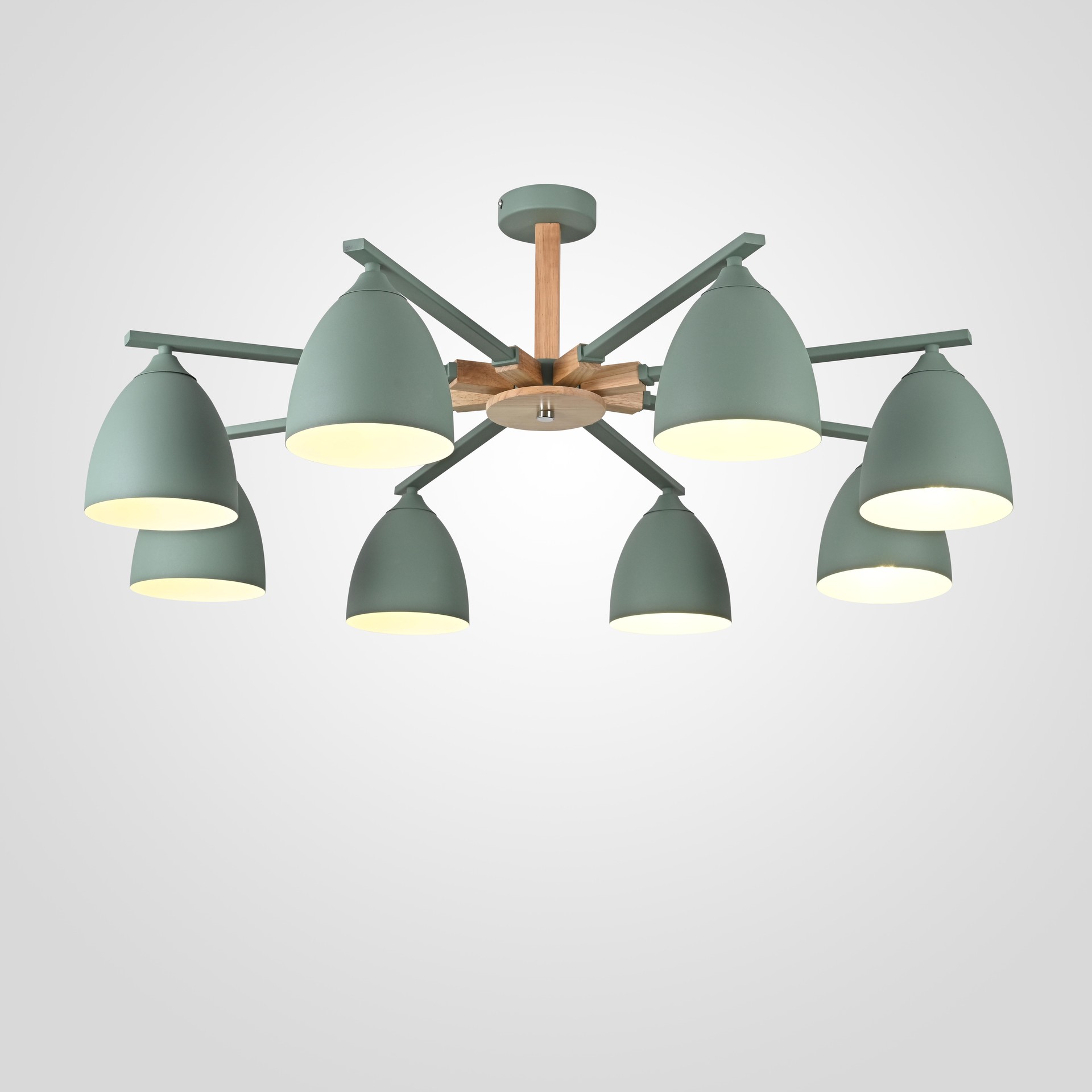 Потолочная люстра ImperiumLoft Noa01 183468-26