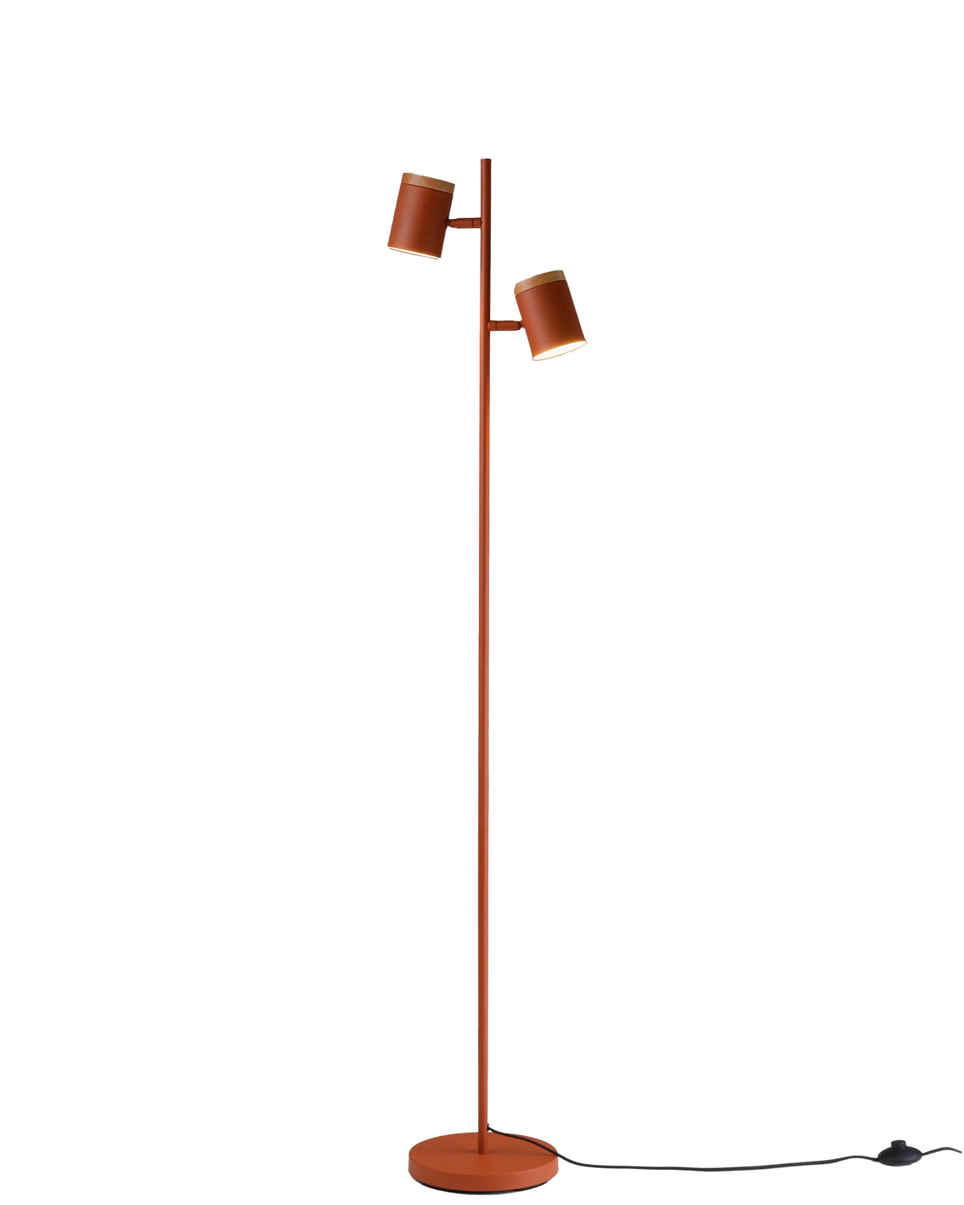 Торшер Moderli Asheswood V11289-2F