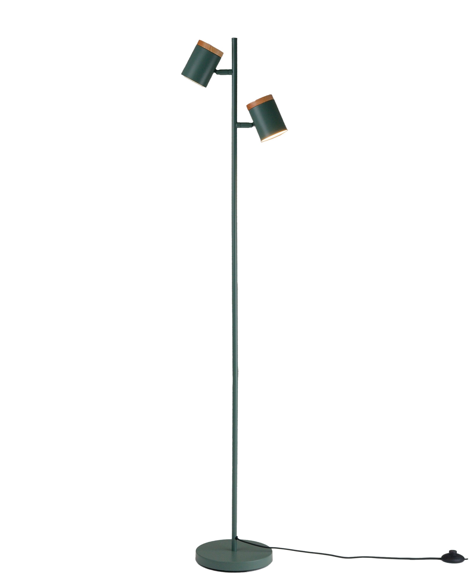 Торшер Moderli Asheswood V11290-2F