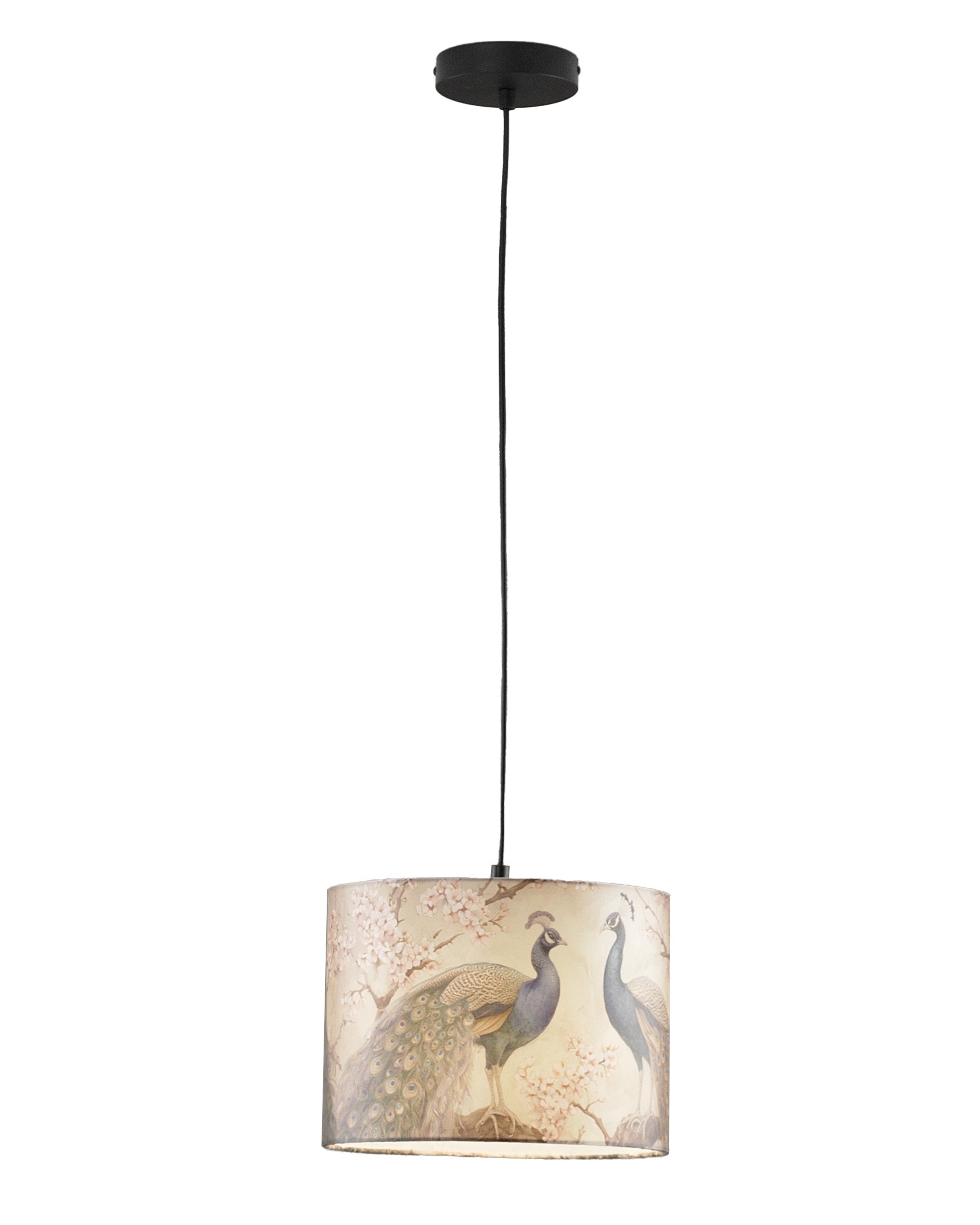 Светильник подвесной Moderli Strauss V11514-1P