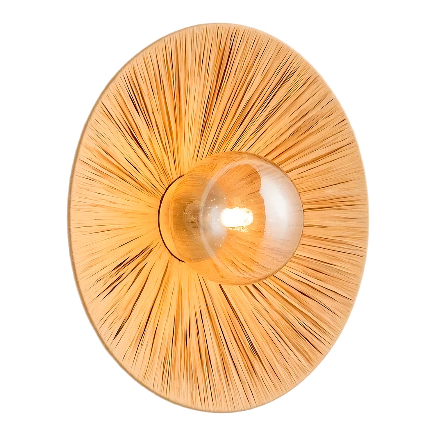 Настенный светильник Lussole Sunflower LSP-5009