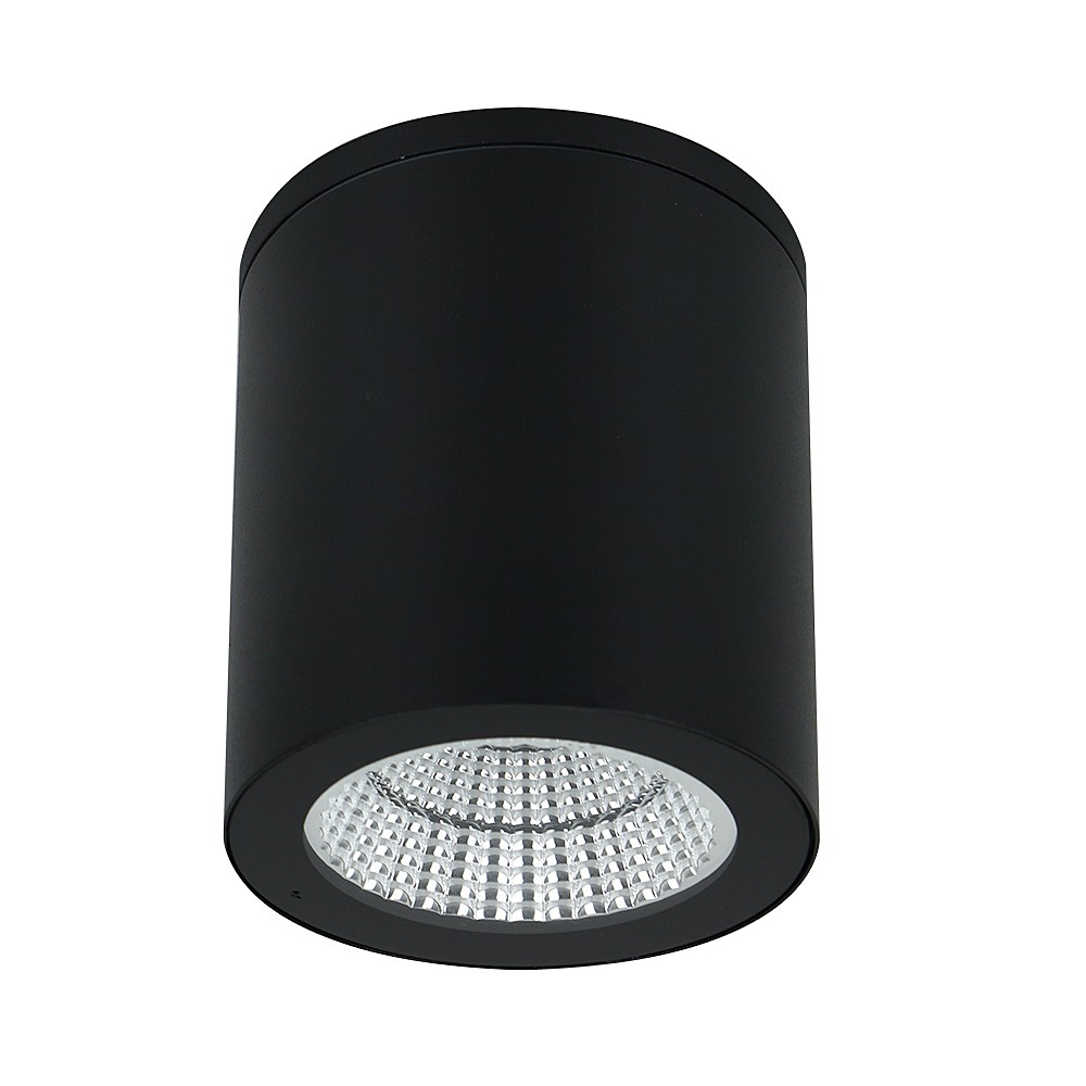 Уличный потолочный светильник Arte Lamp Torcular A1313PF-1BK