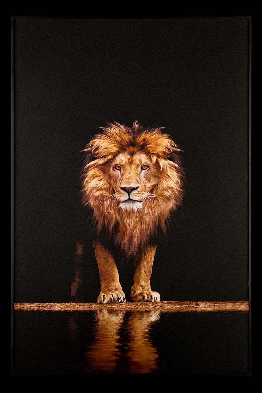 Картина настенная Teona Decor Lion TD142