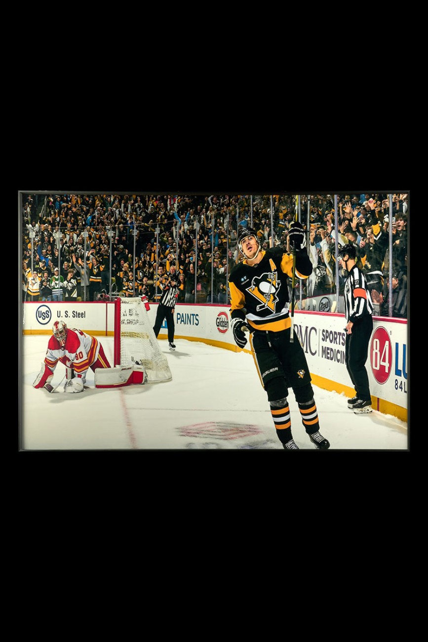 Картина настенная Teona Decor Hockey TD238