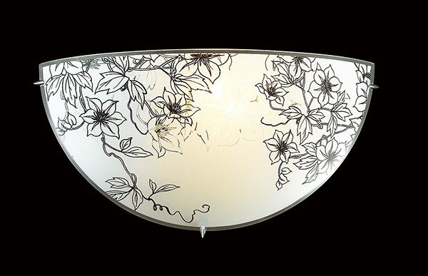 Настенно потолочный светильник Sonex BALI 1211