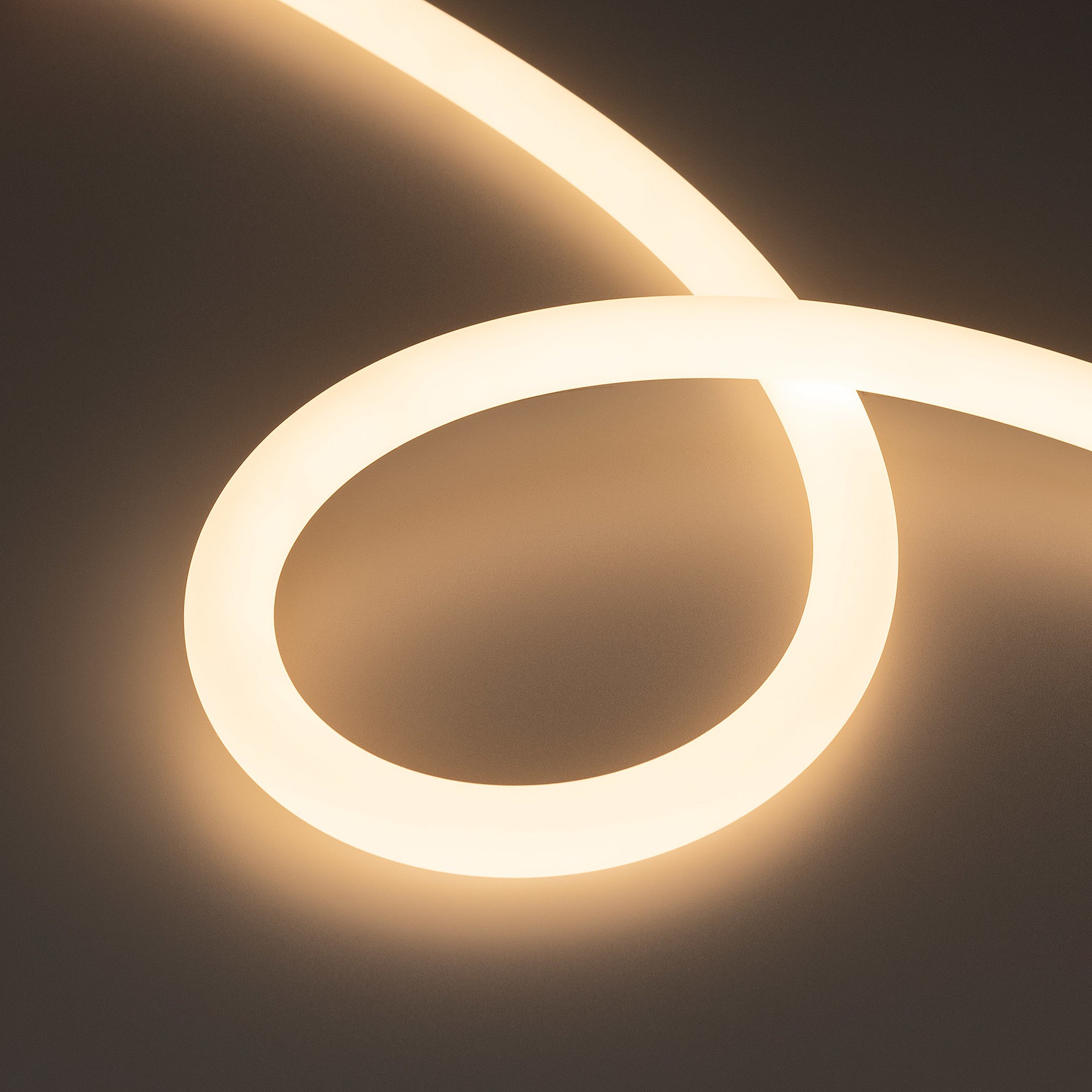 Светодиодный шнур Arlight Moonlight 031431