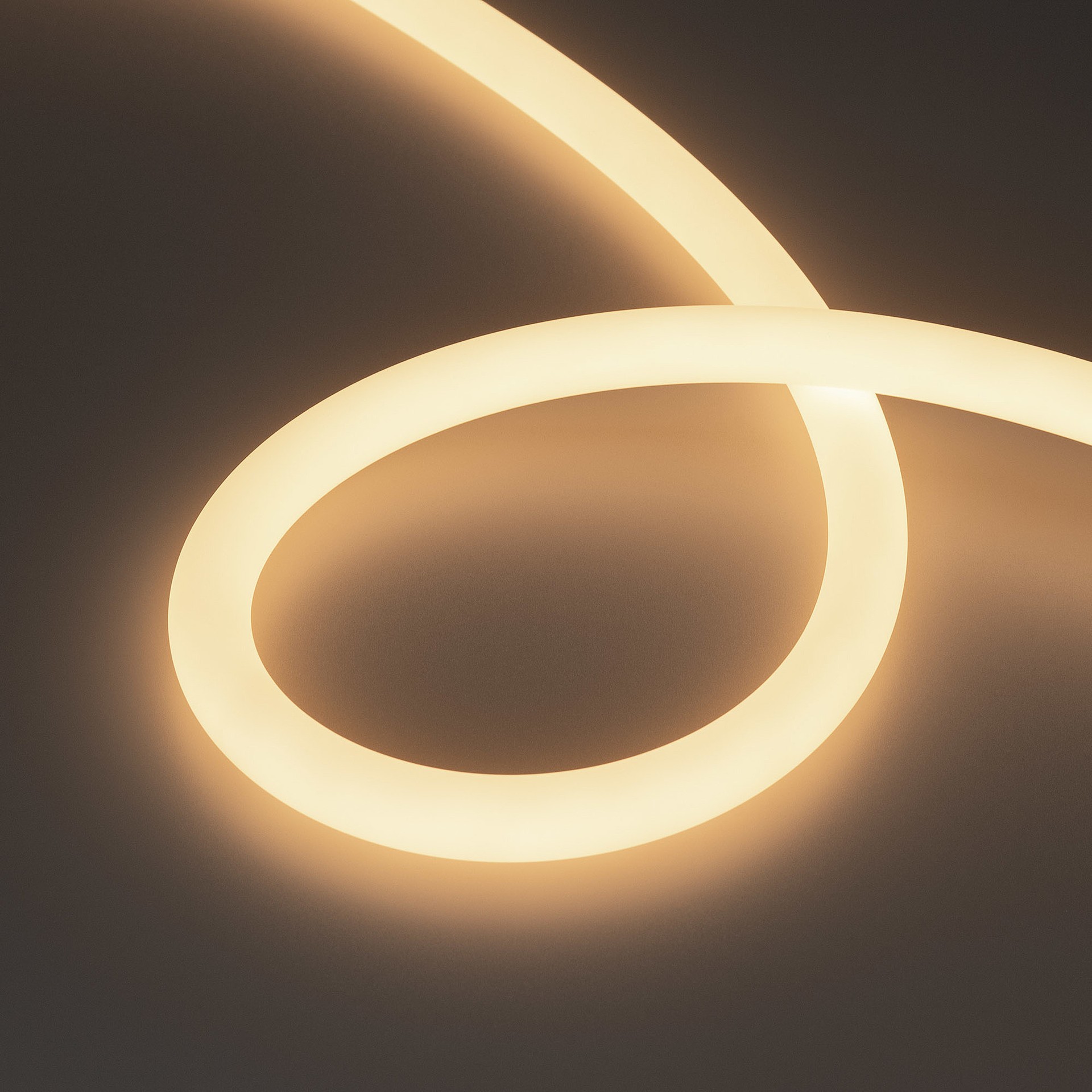 Светодиодный шнур Arlight Moonlight 038754