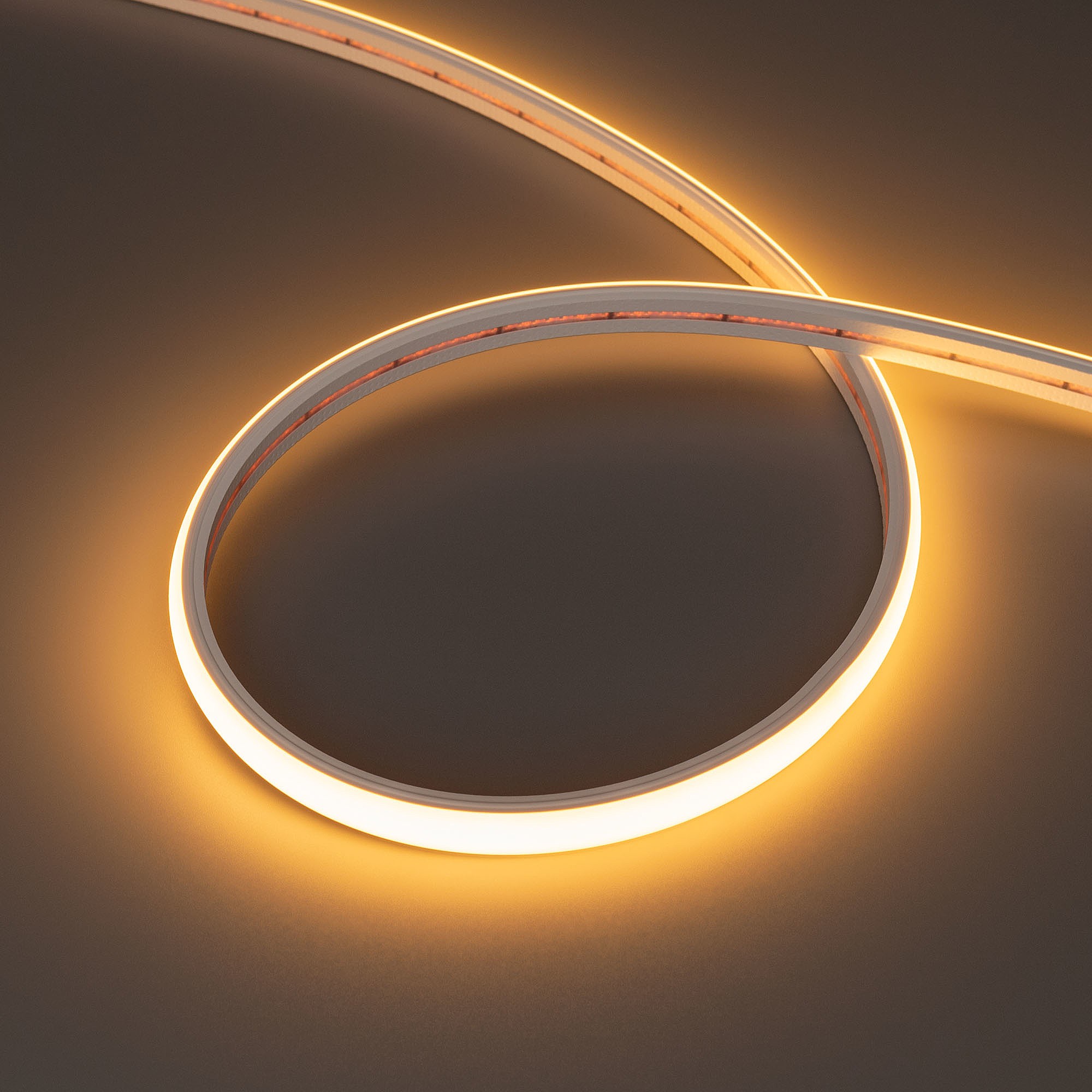 Светодиодный шнур Arlight Moonlight 039446