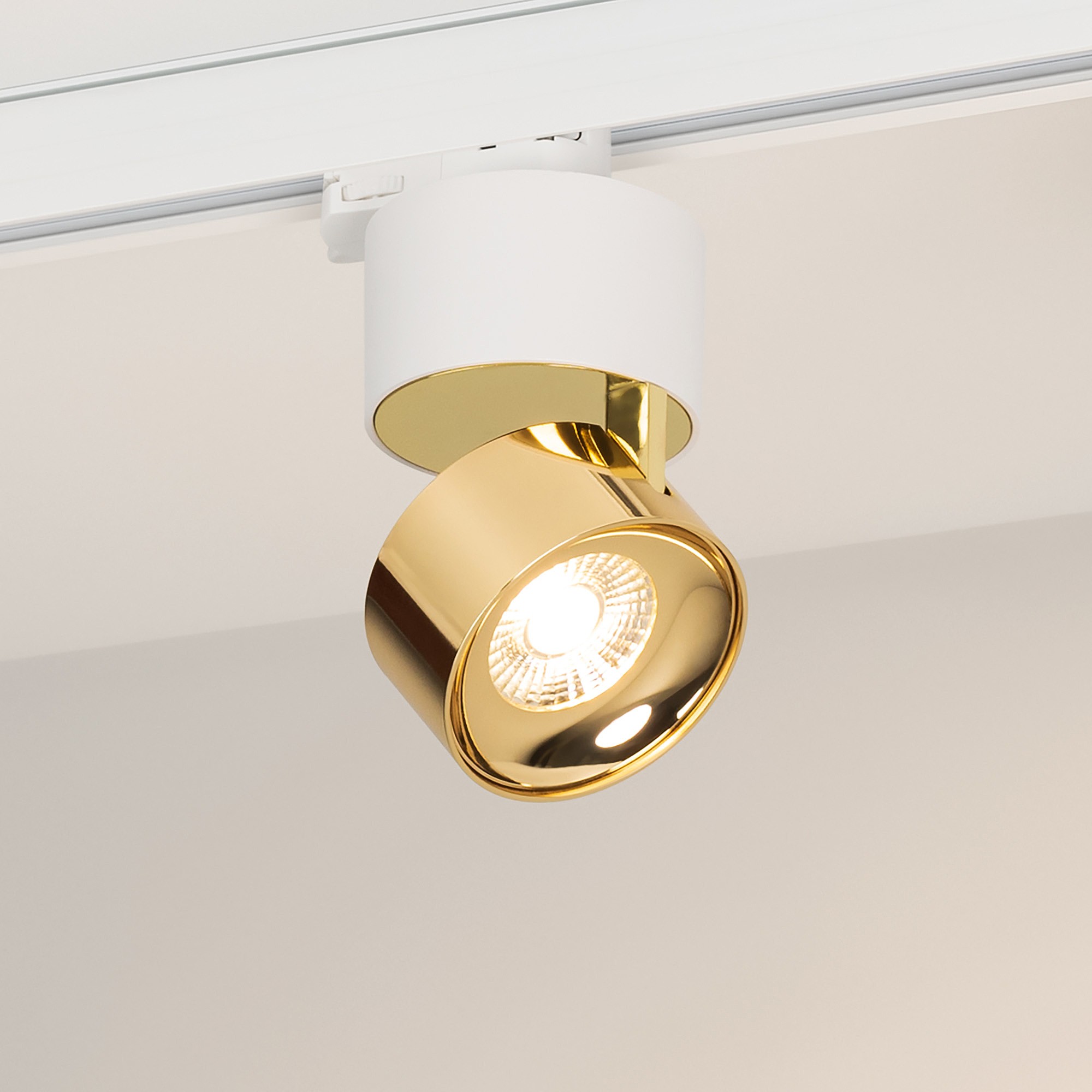 Трековый светильник Arlight Plurio 038100