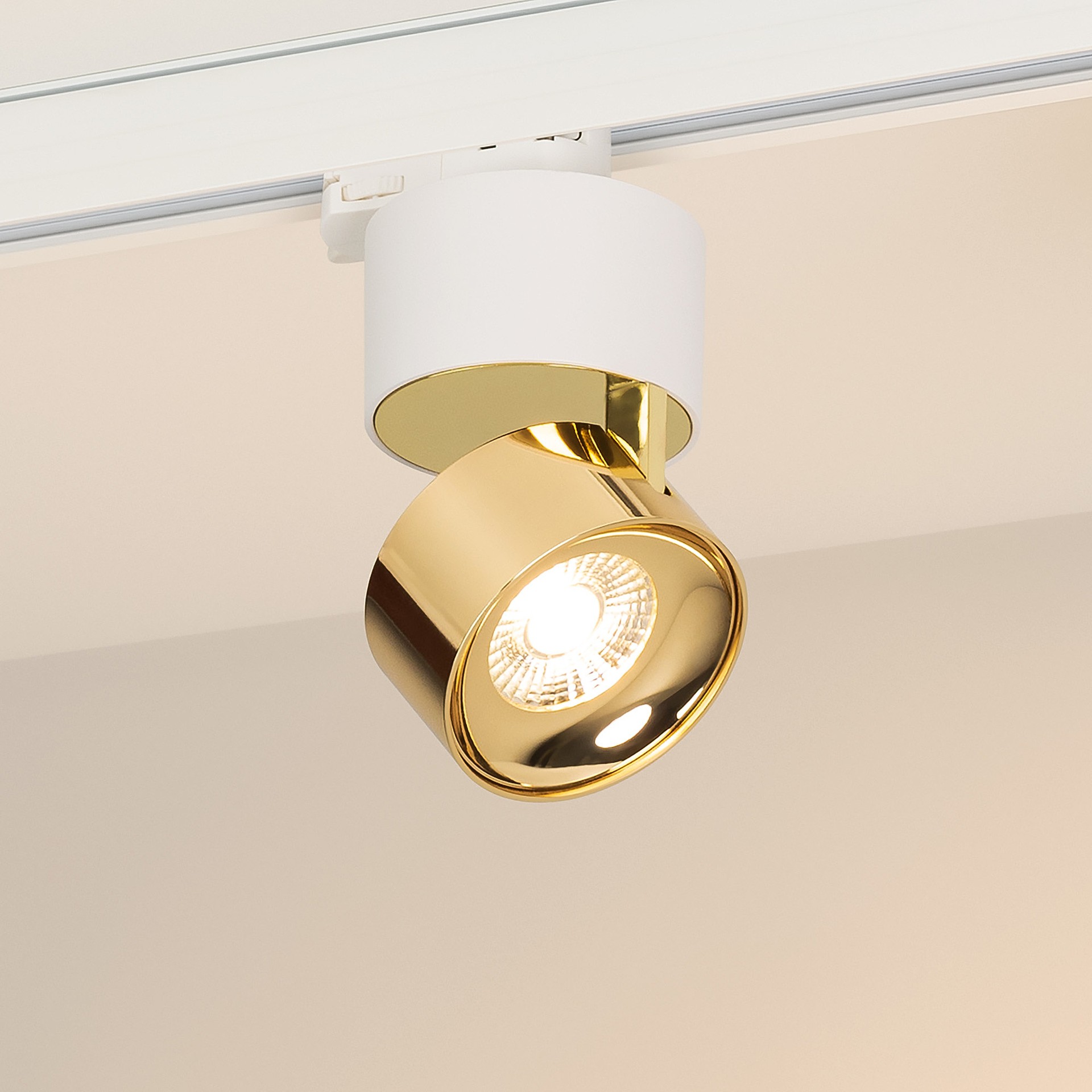 Трековый светильник Arlight Plurio 038114