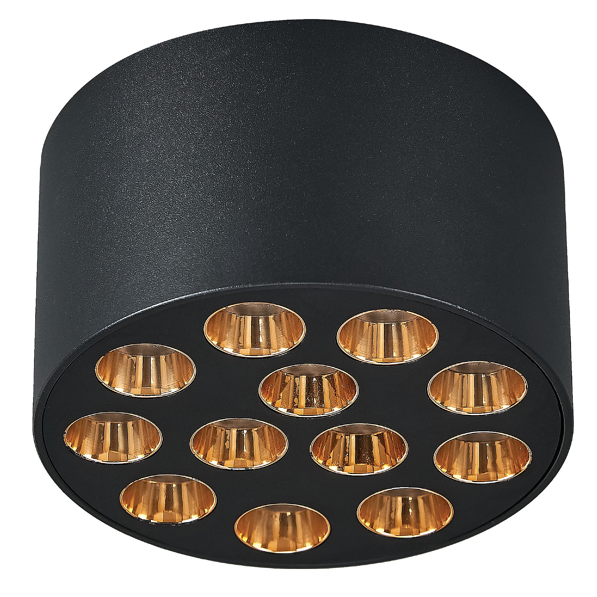 Накладной светильник Lightstar Guarda 080942