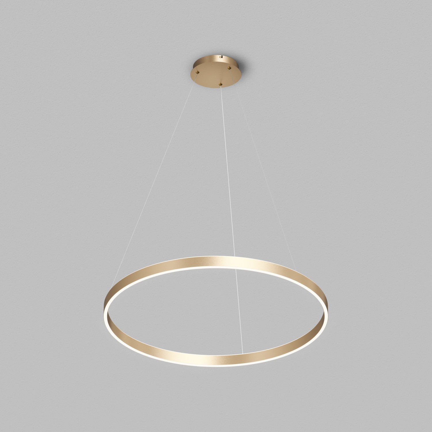 Подвесная люстра Denkirs Raydia DK6272-SG