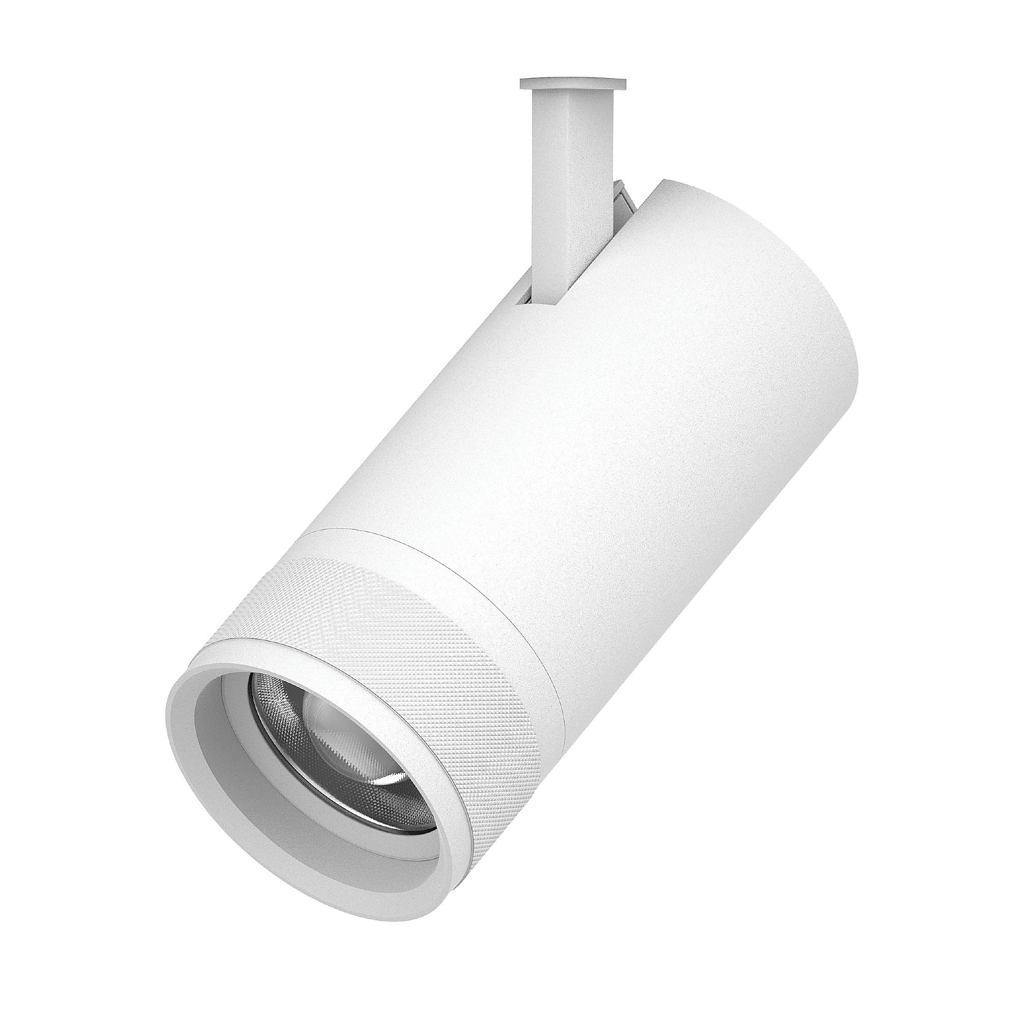 Светильник профессиональный тушка BARRA/QUATTRO Lightstar Canno Pro 304306