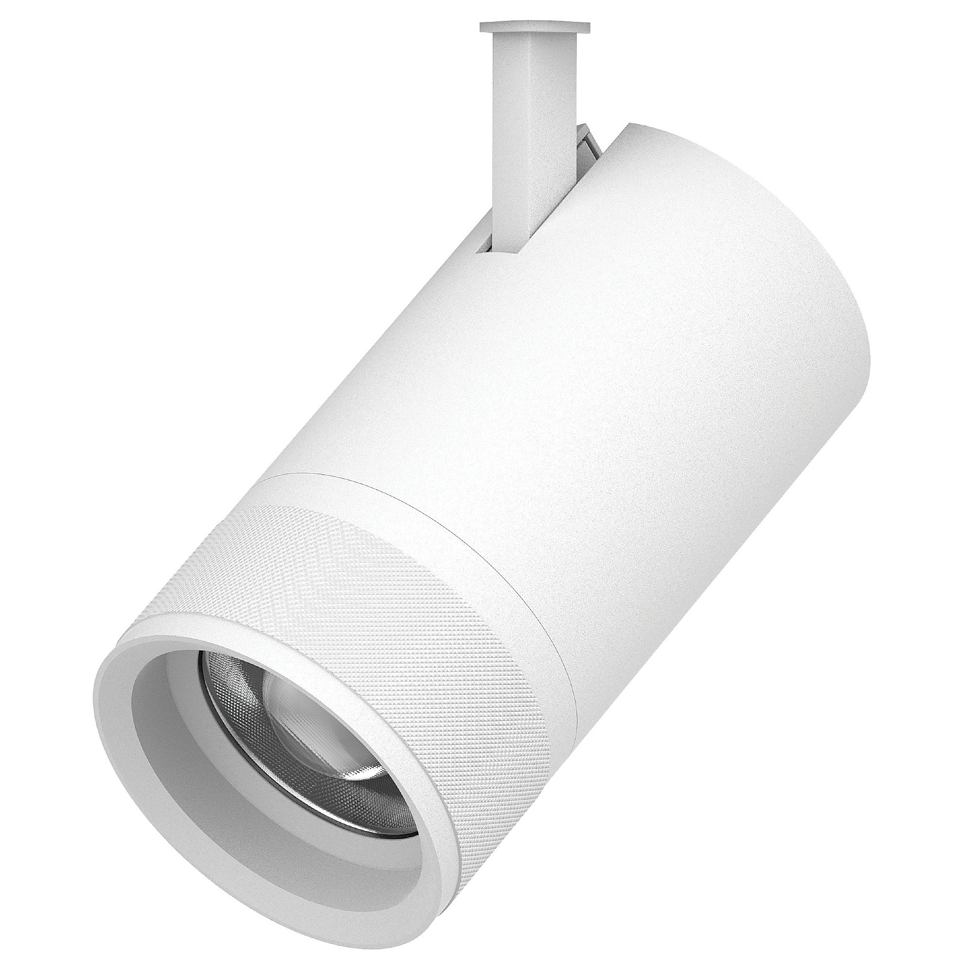 Светильник профессиональный тушка BARRA/QUATTRO Lightstar Canno Pro 304406