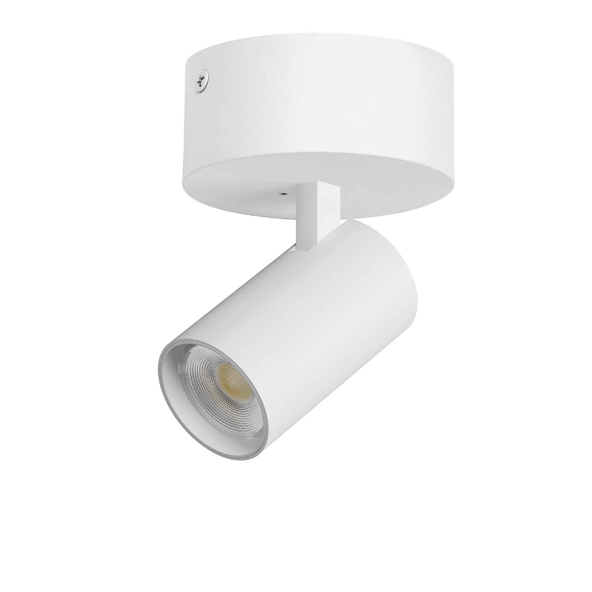 Светильник спот Lightstar Alta Base A5246SO