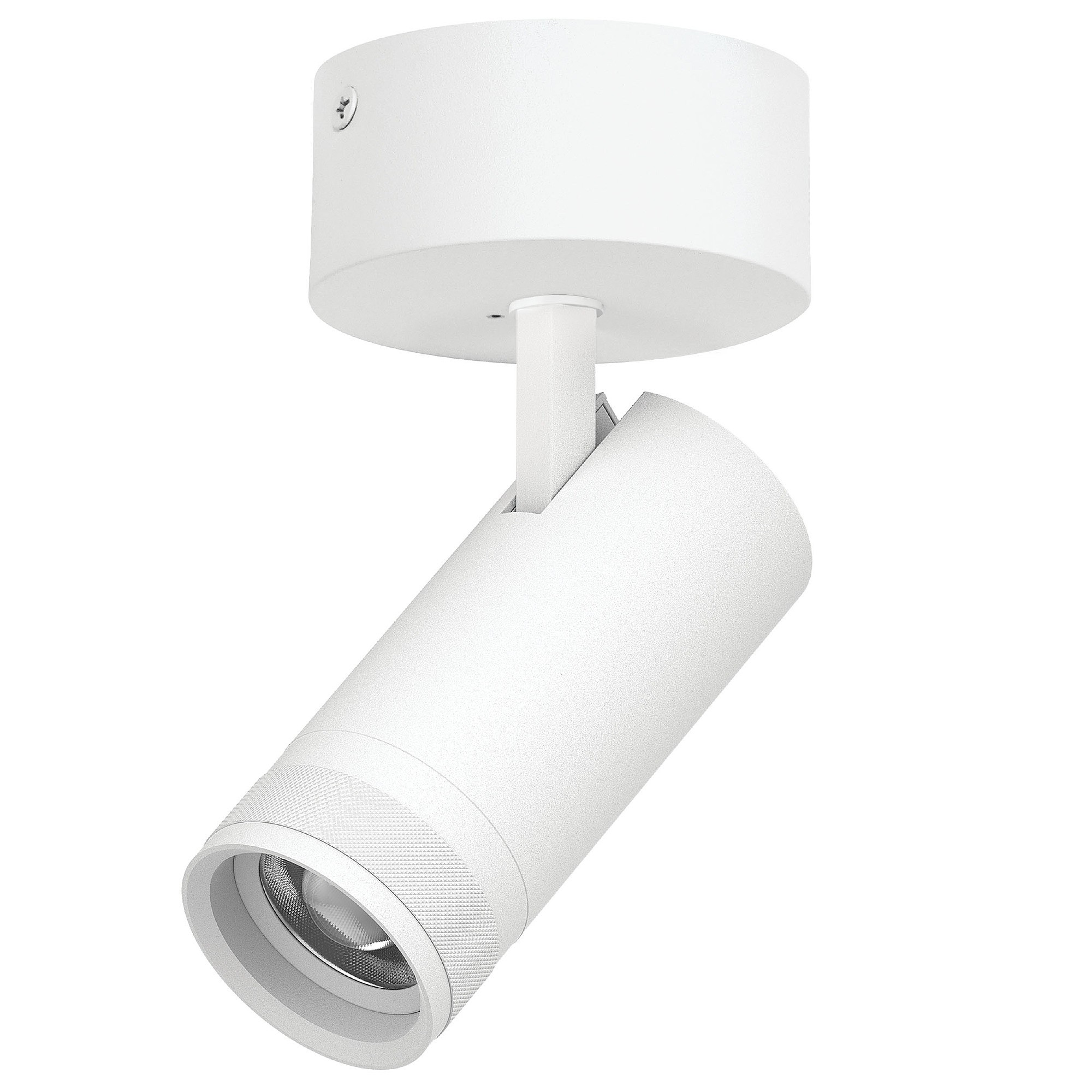 Светильник спот Lightstar Canno Pro C4206SO