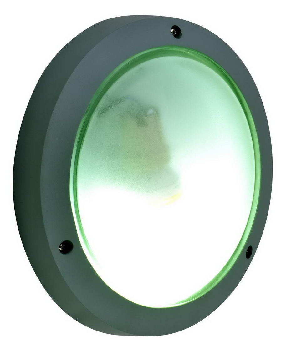 Уличный настенный светильник Arte Lamp URBAN A2051PF-1GY