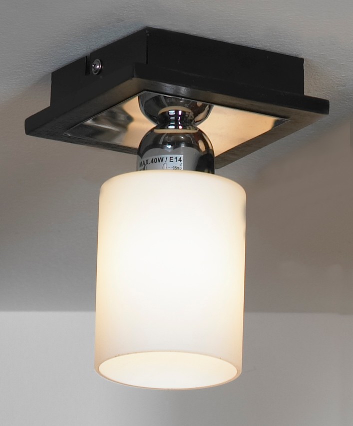 Светильник потолочный Lussole Caprile LSF-6117-01