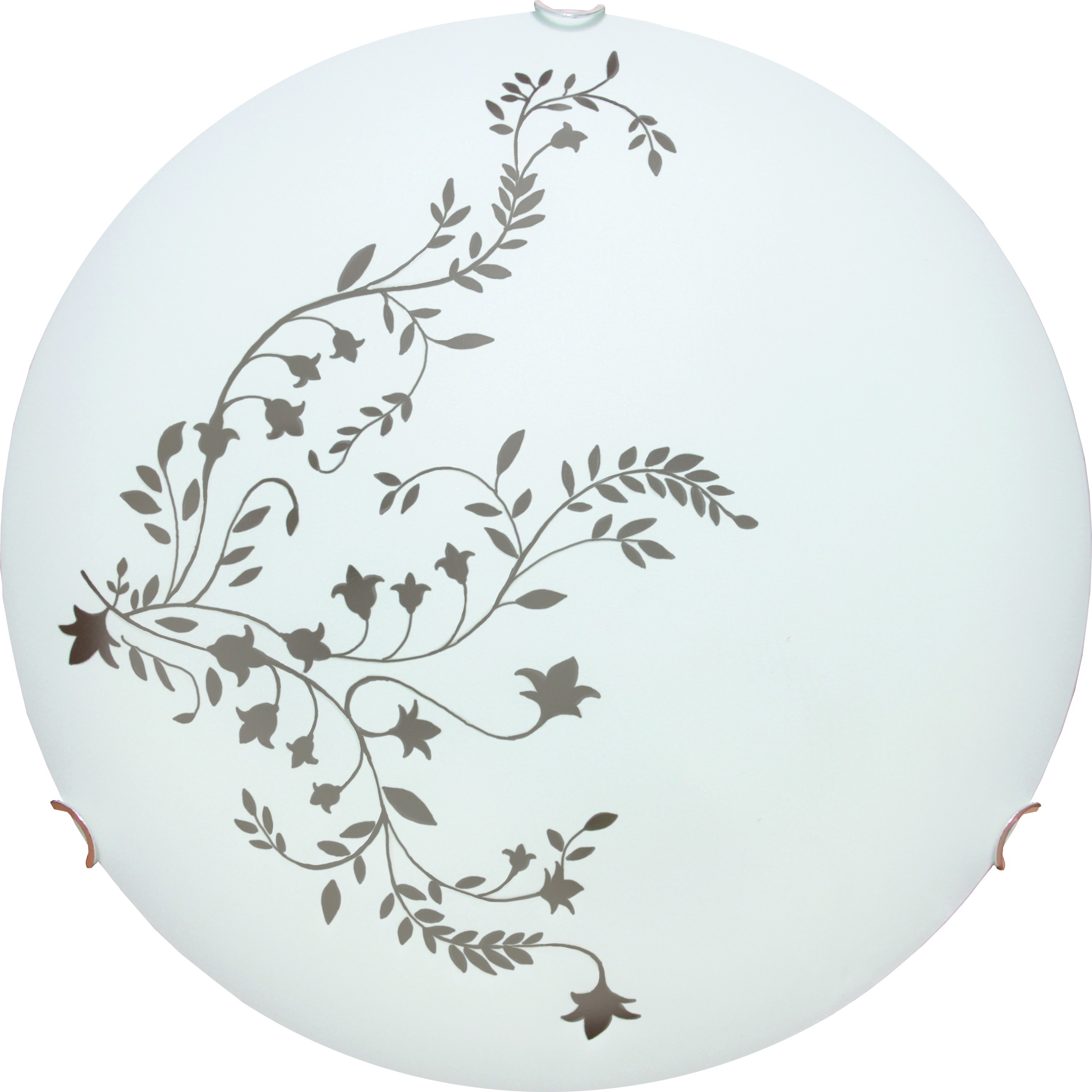 Настенно потолочный светильник Arte Lamp ORNAMENT A3820PL-2CC