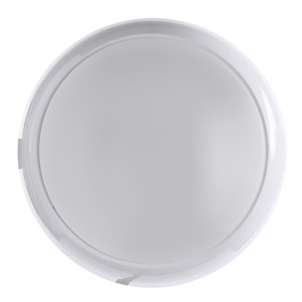 Настенно потолочный светильник Arte Lamp PORCH A4520PF-1WH