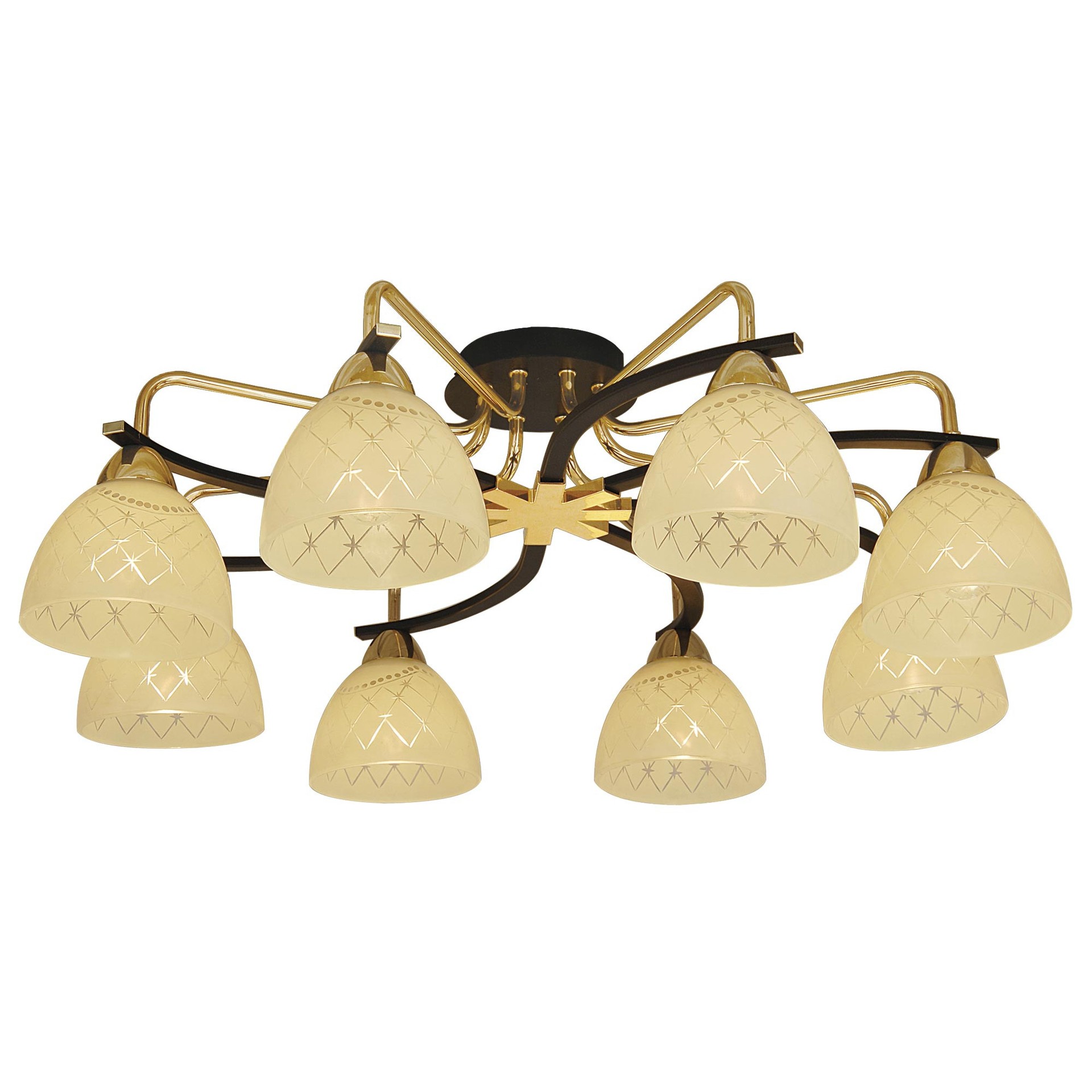 Потолочная люстра Citilux Кристи CL152282