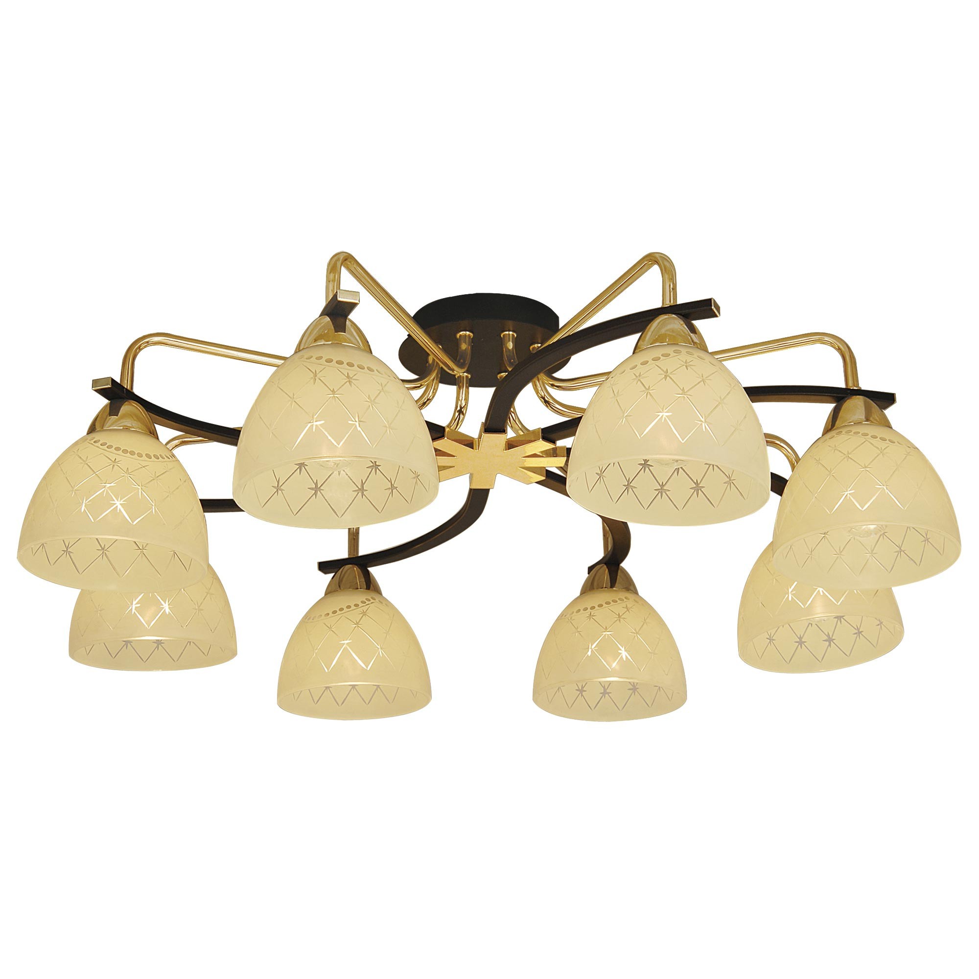 Потолочная люстра Citilux Кристи CL152282