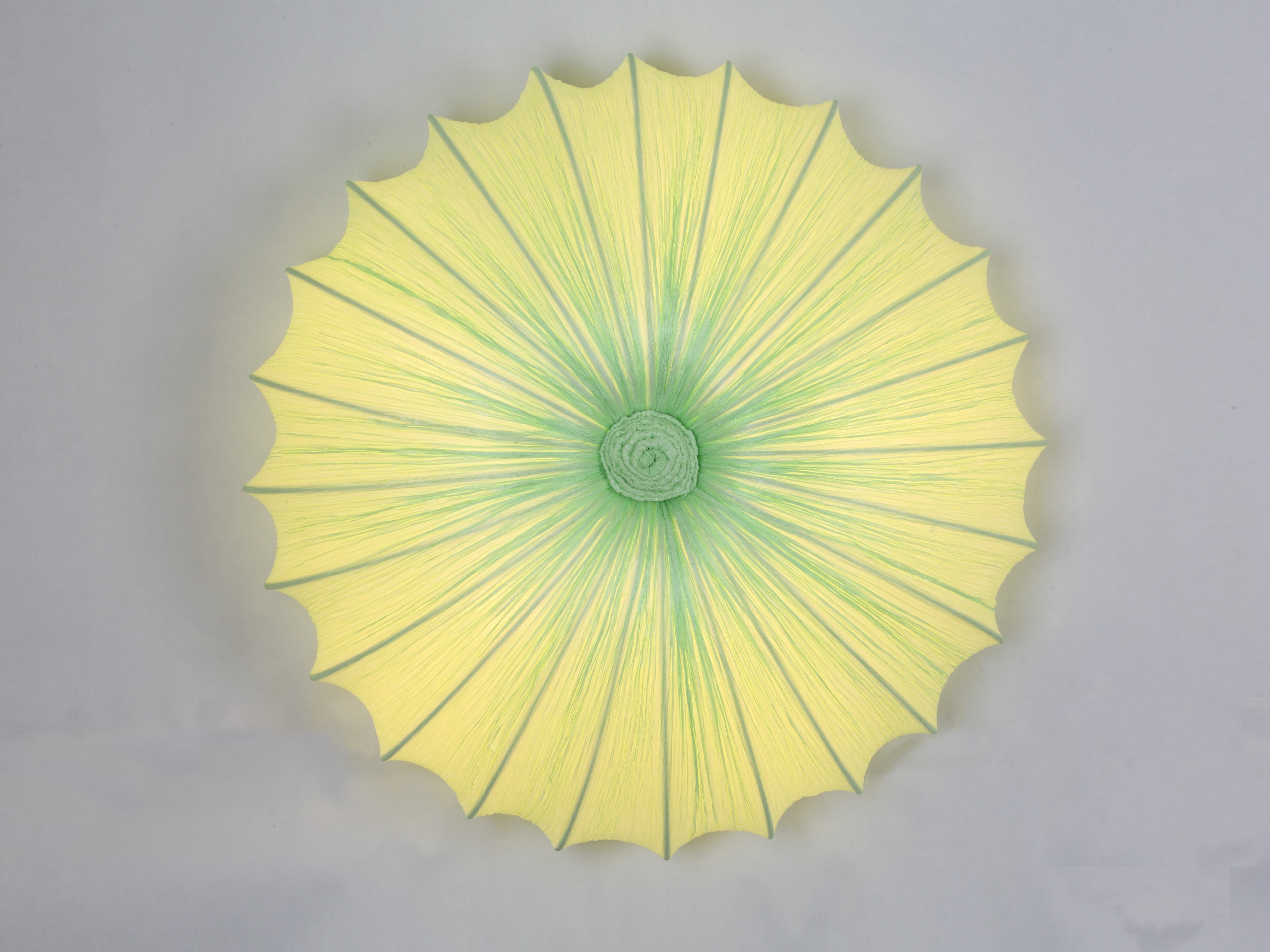 Светильник потолочный ST Luce SL351.022.05