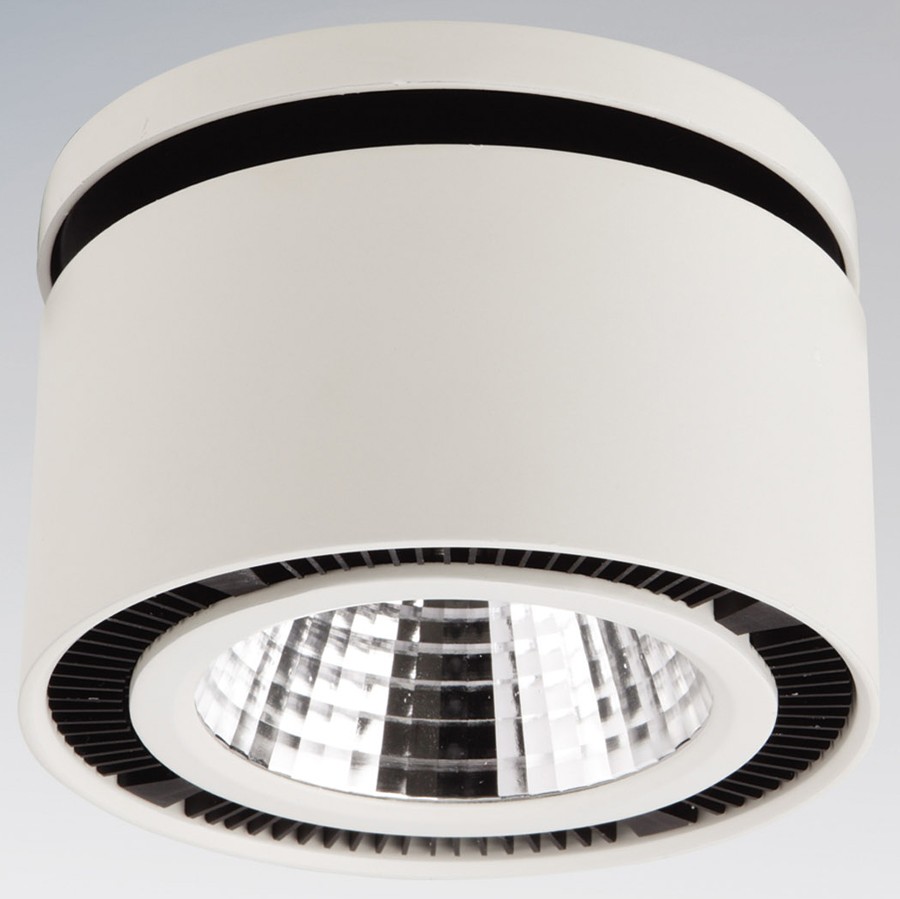 Накладной светильник Lightstar Forte Inca 214800