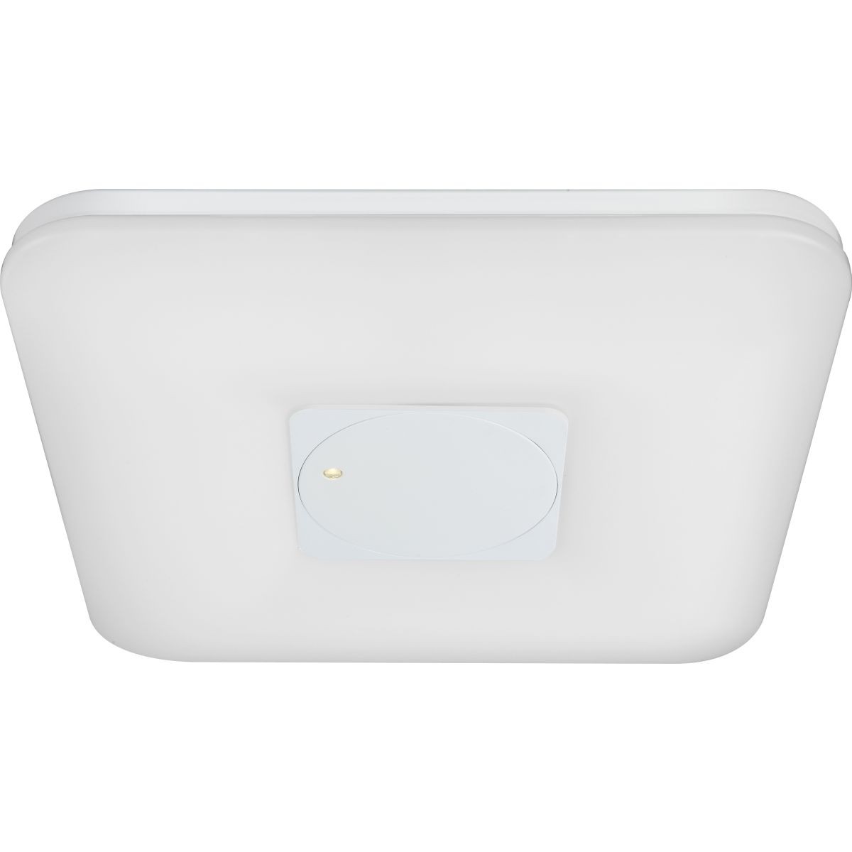 Настенно потолочный светильник Globo FELION 41323