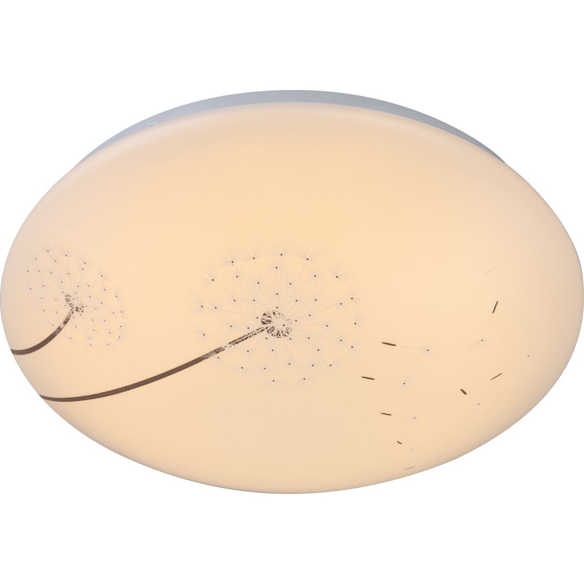 Настенно потолочный светильник Globo ILLYA 41592