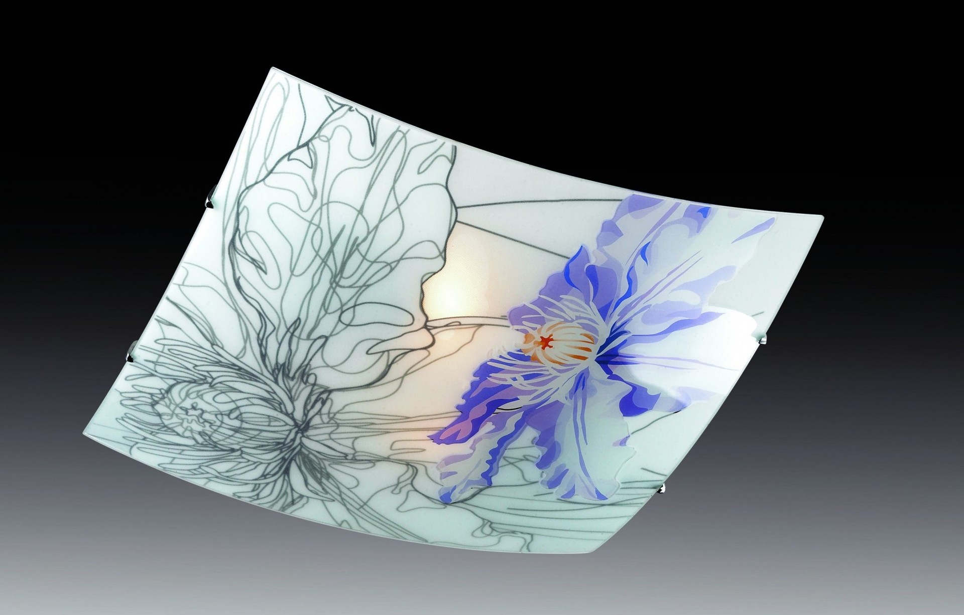 Настенно потолочный светильник Sonex IRIS 2230