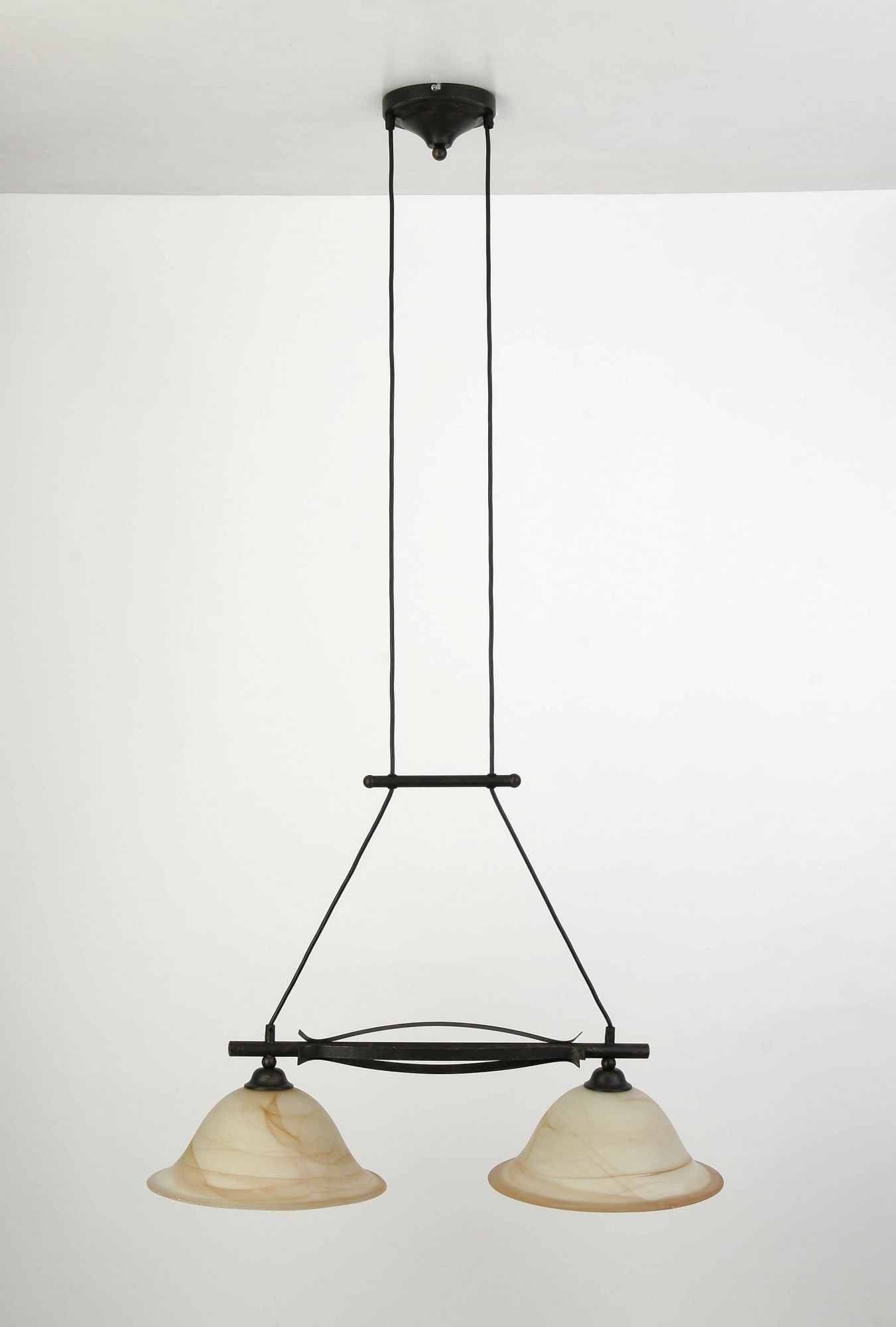 Светильник подвесной Brilliant FIORE 81971/58