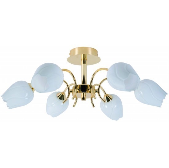 Потолочная люстра Arte Lamp A8292PL-6PB