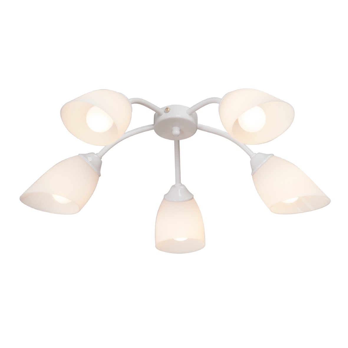 Потолочная люстра Vitaluce V3194 V3194/5PL