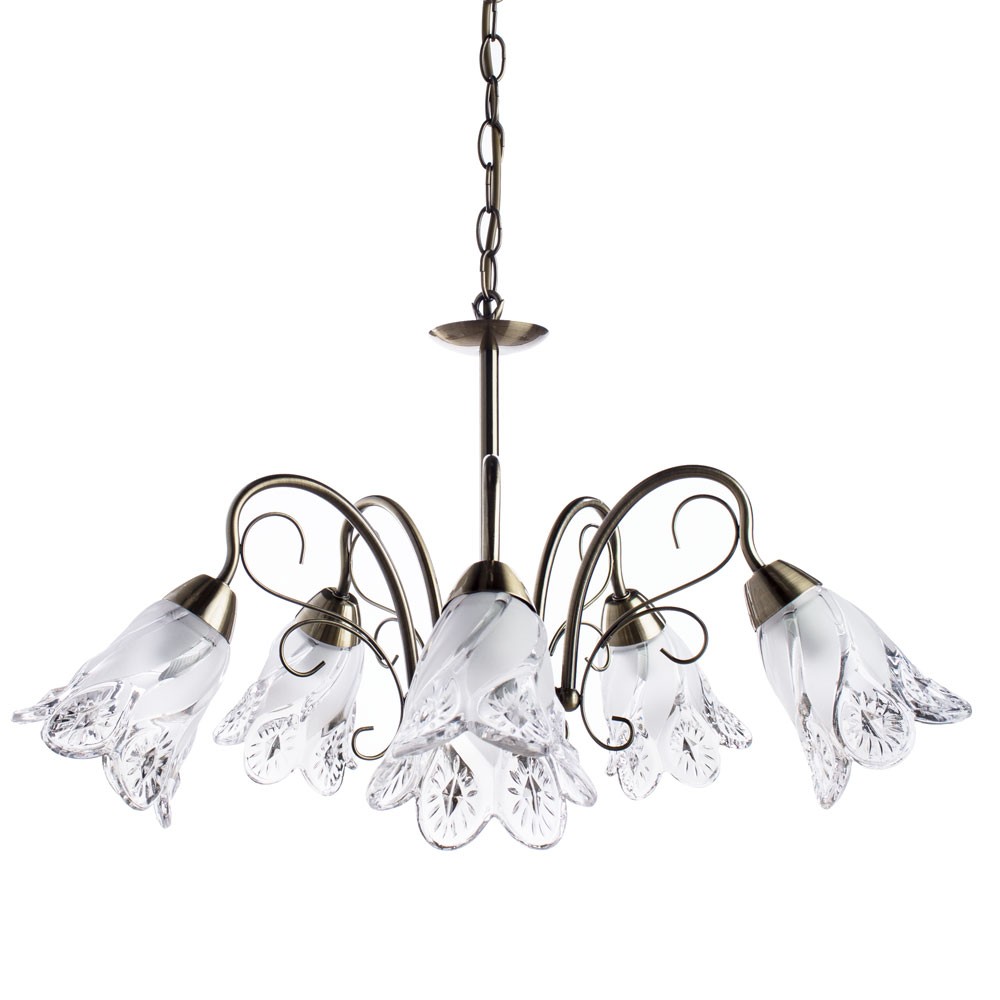 Подвесная люстра Arte Lamp A6273LM-5AB