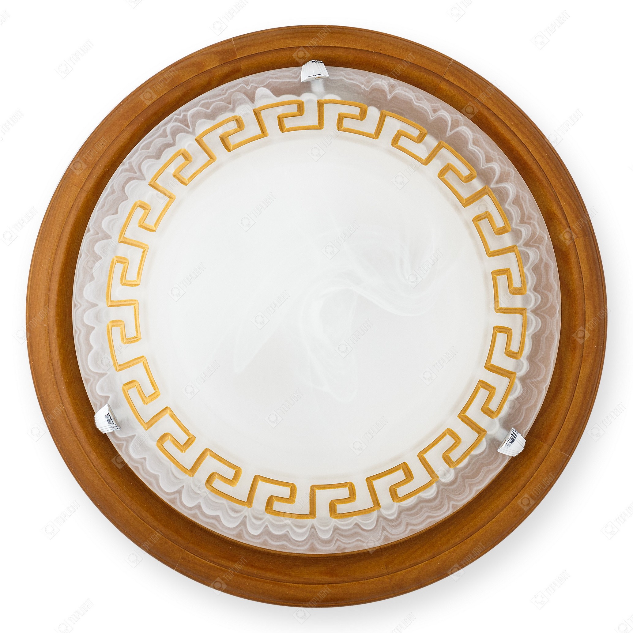 Настенно потолочный светильник Toplight Gien TL9173Y-02OA