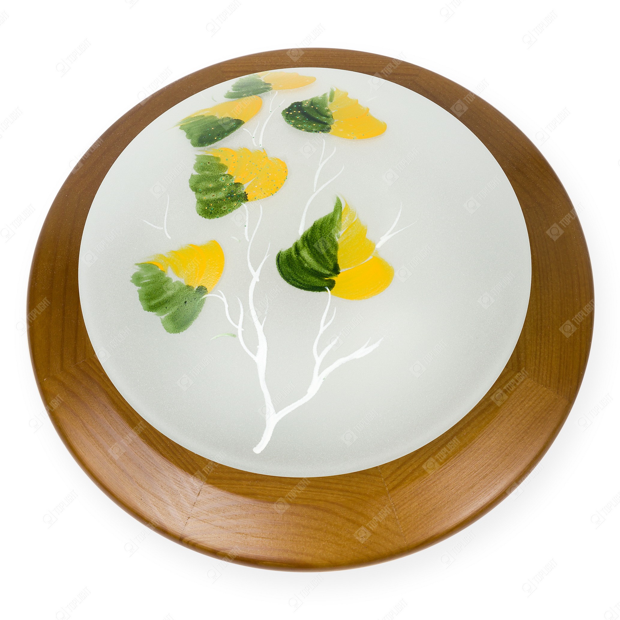 Настенно потолочный светильник Toplight Enilu TL9461Y-01OA