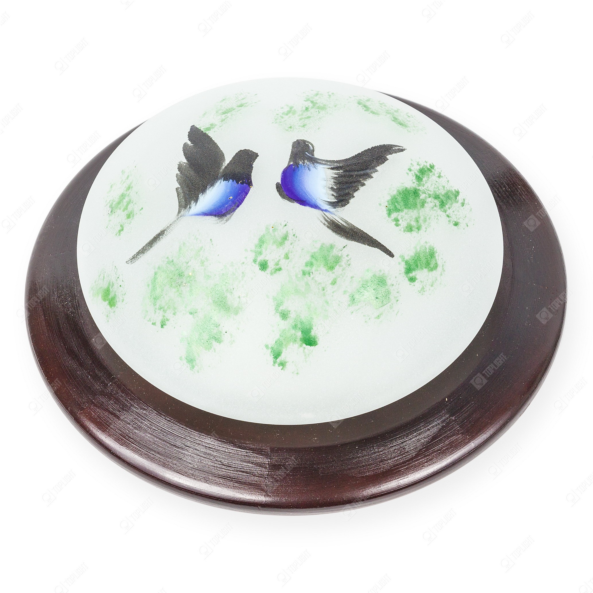 Настенно потолочный светильник Toplight Jeler TL9481Y-01OA