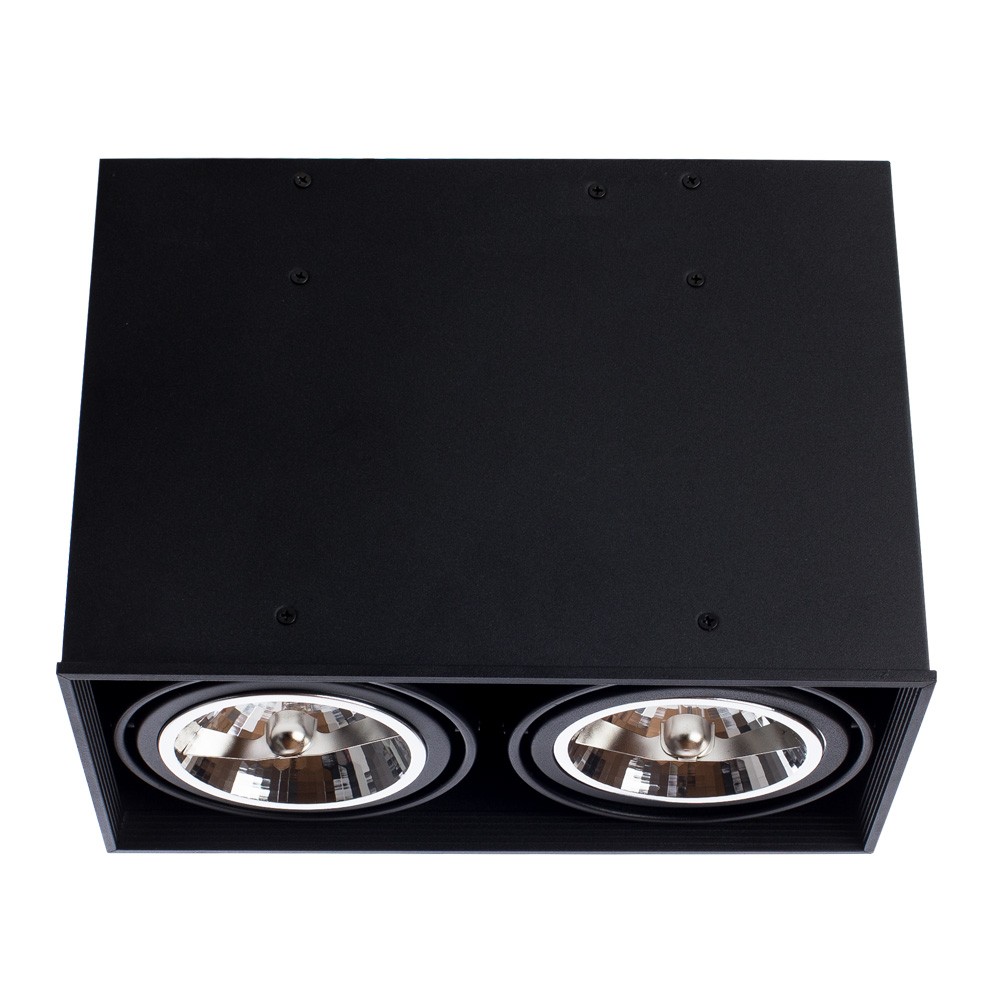 Светильник потолочный Arte Lamp A5936PL-2BK