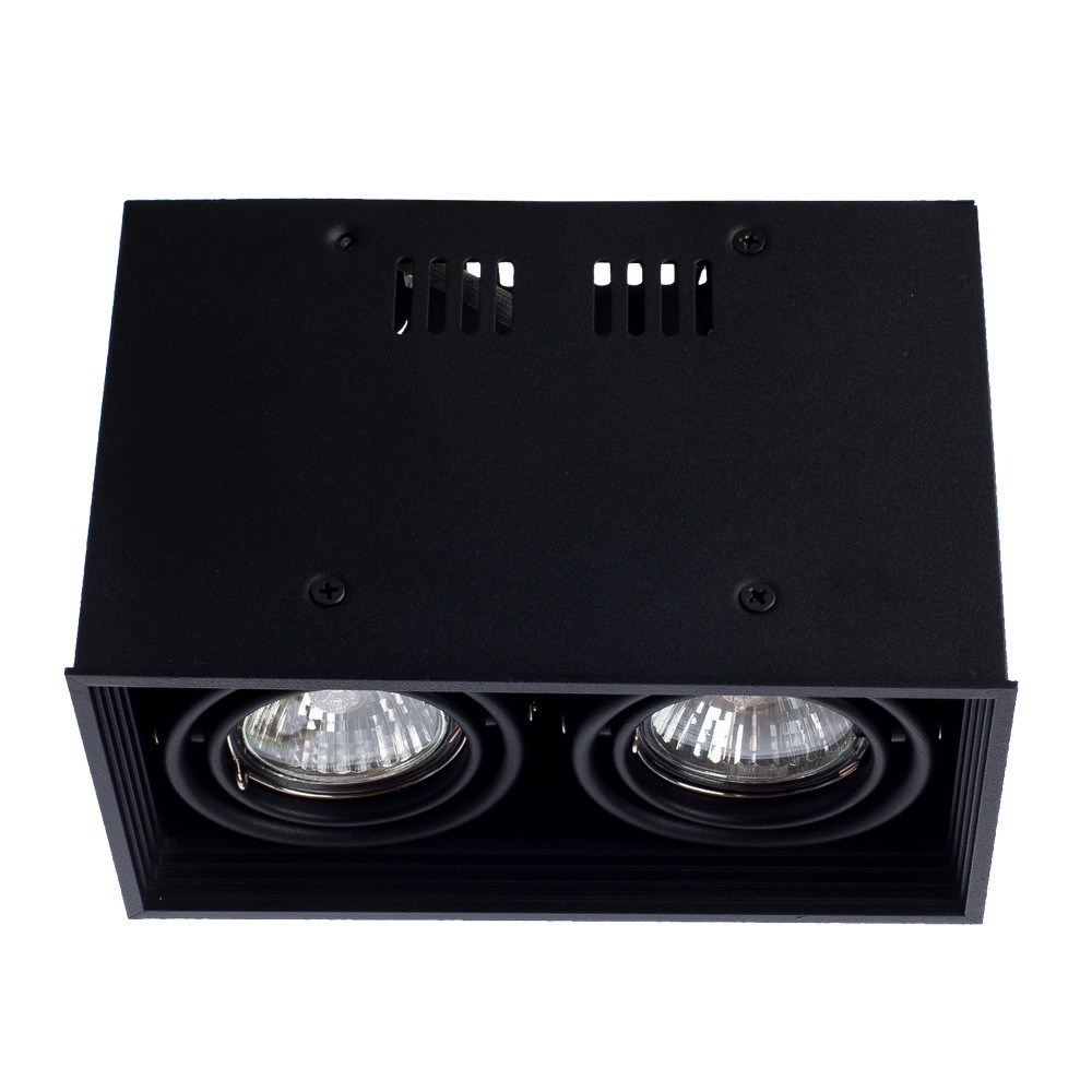 Светильник потолочный Arte Lamp A5942PL-2BK